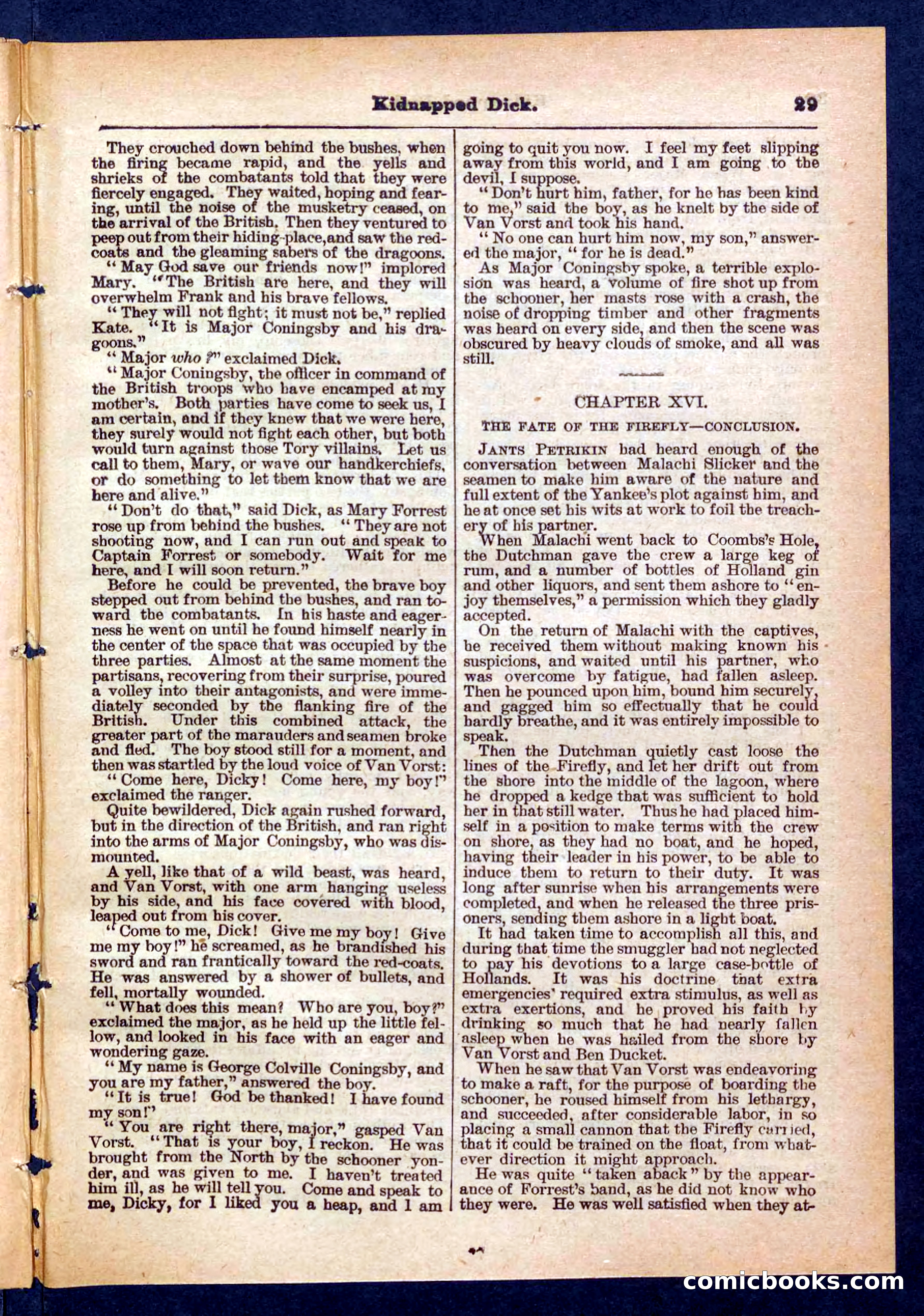 Beadle's Pocket Library No. 450: 'Kidnapped Dick' — page 29 of 32