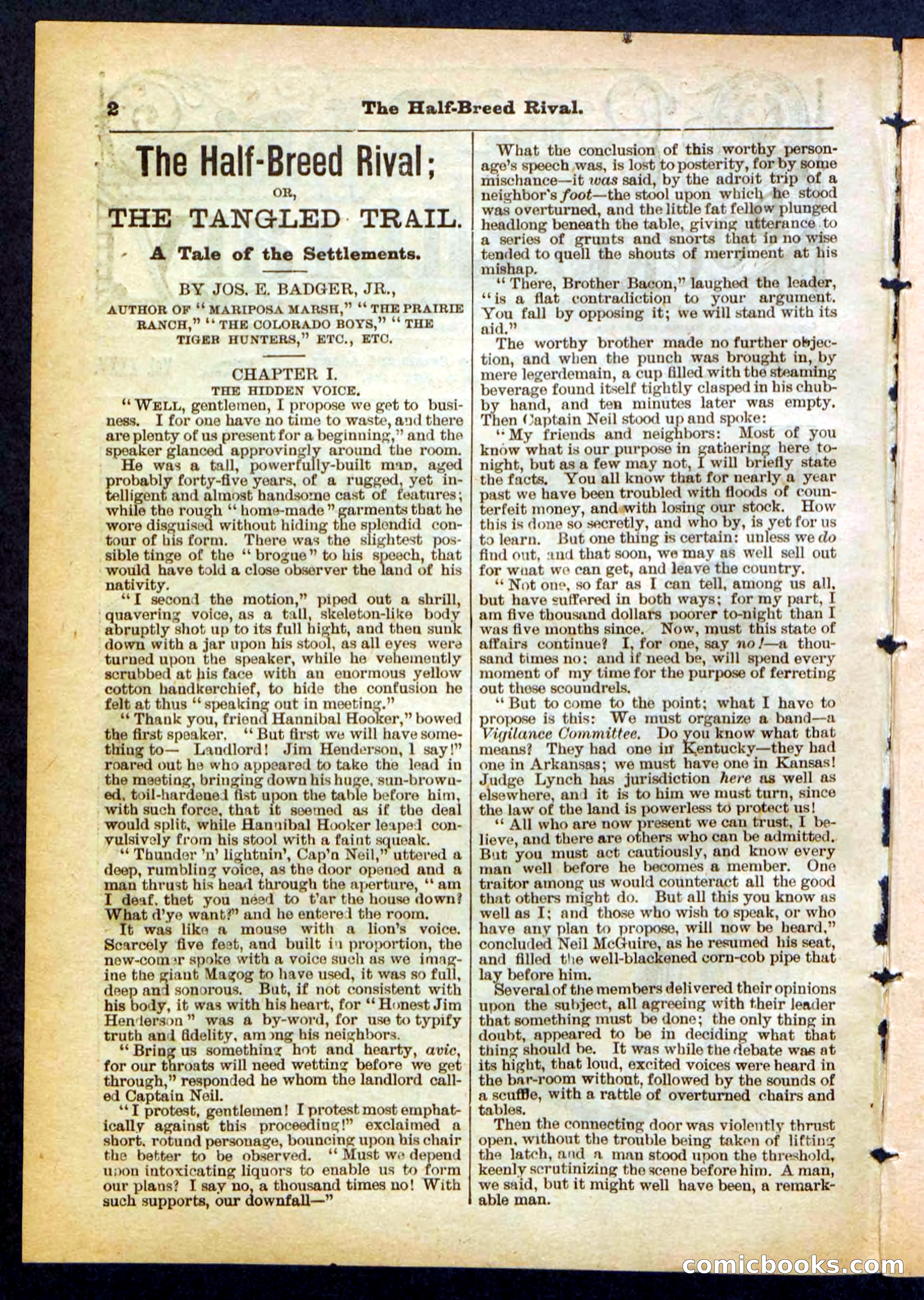Beadle's Pocket Library No. 453 — page 2 of 32