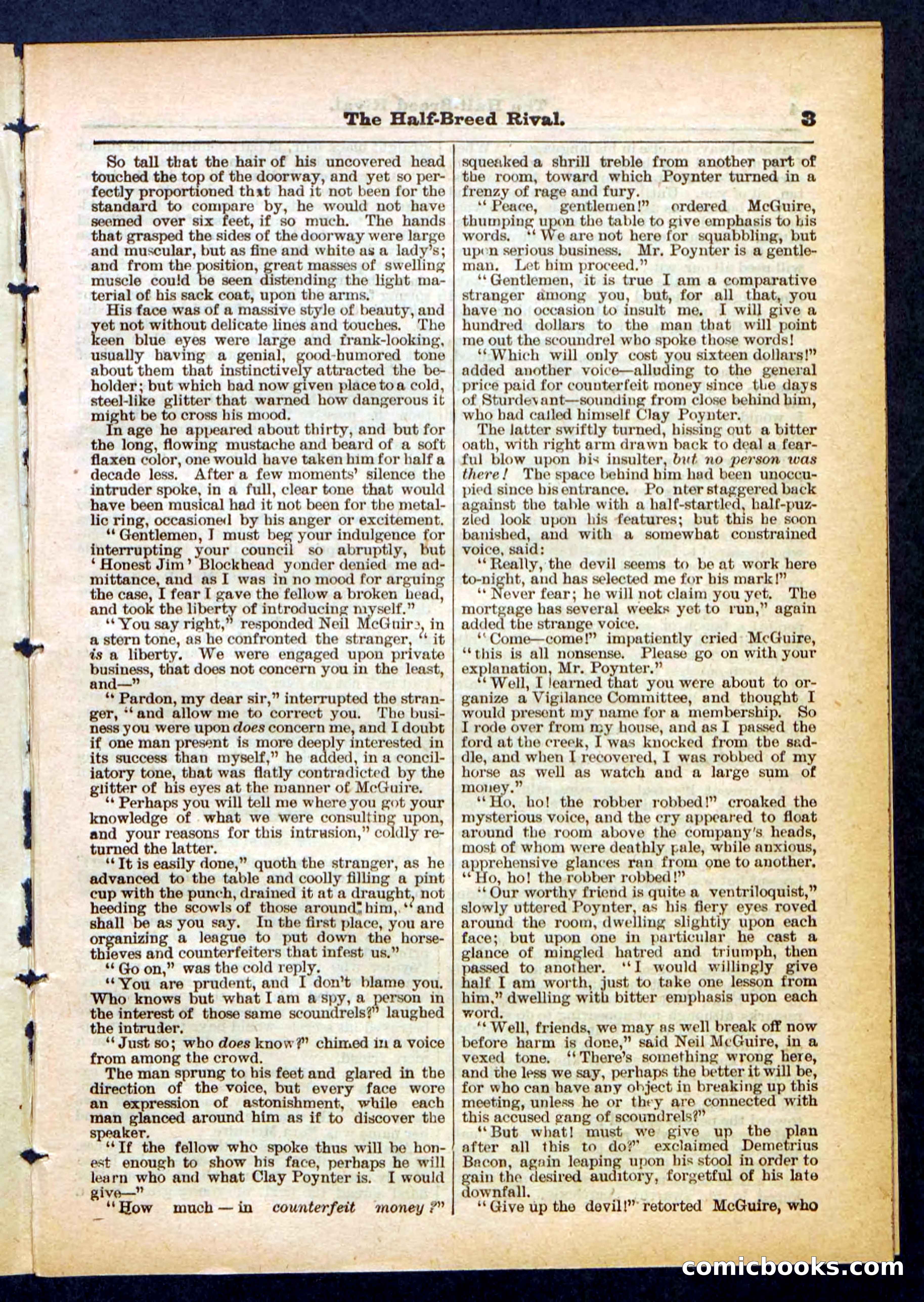 Beadle's Pocket Library No. 453 — page 3 of 32