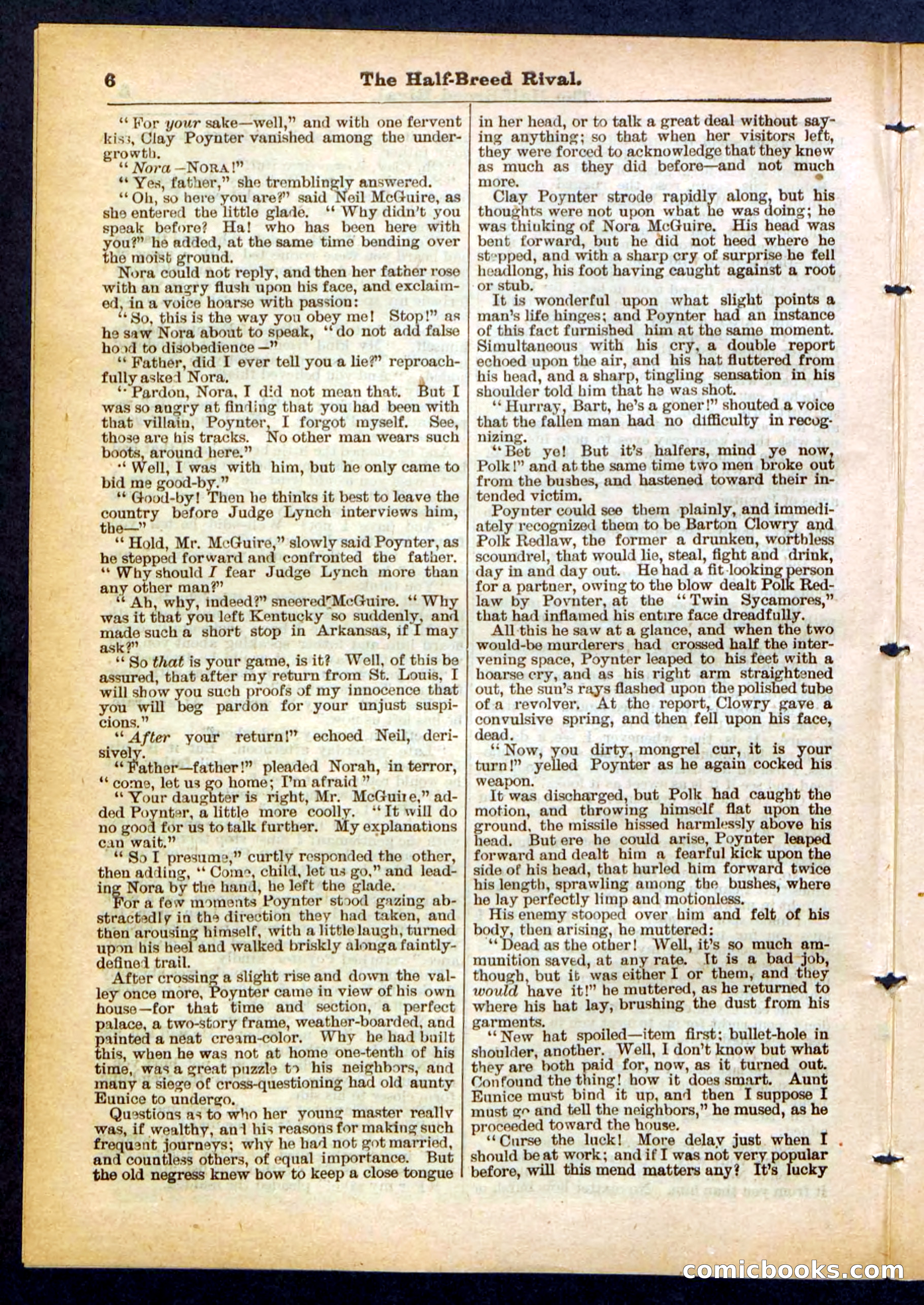 Beadle's Pocket Library No. 453 — page 6 of 32