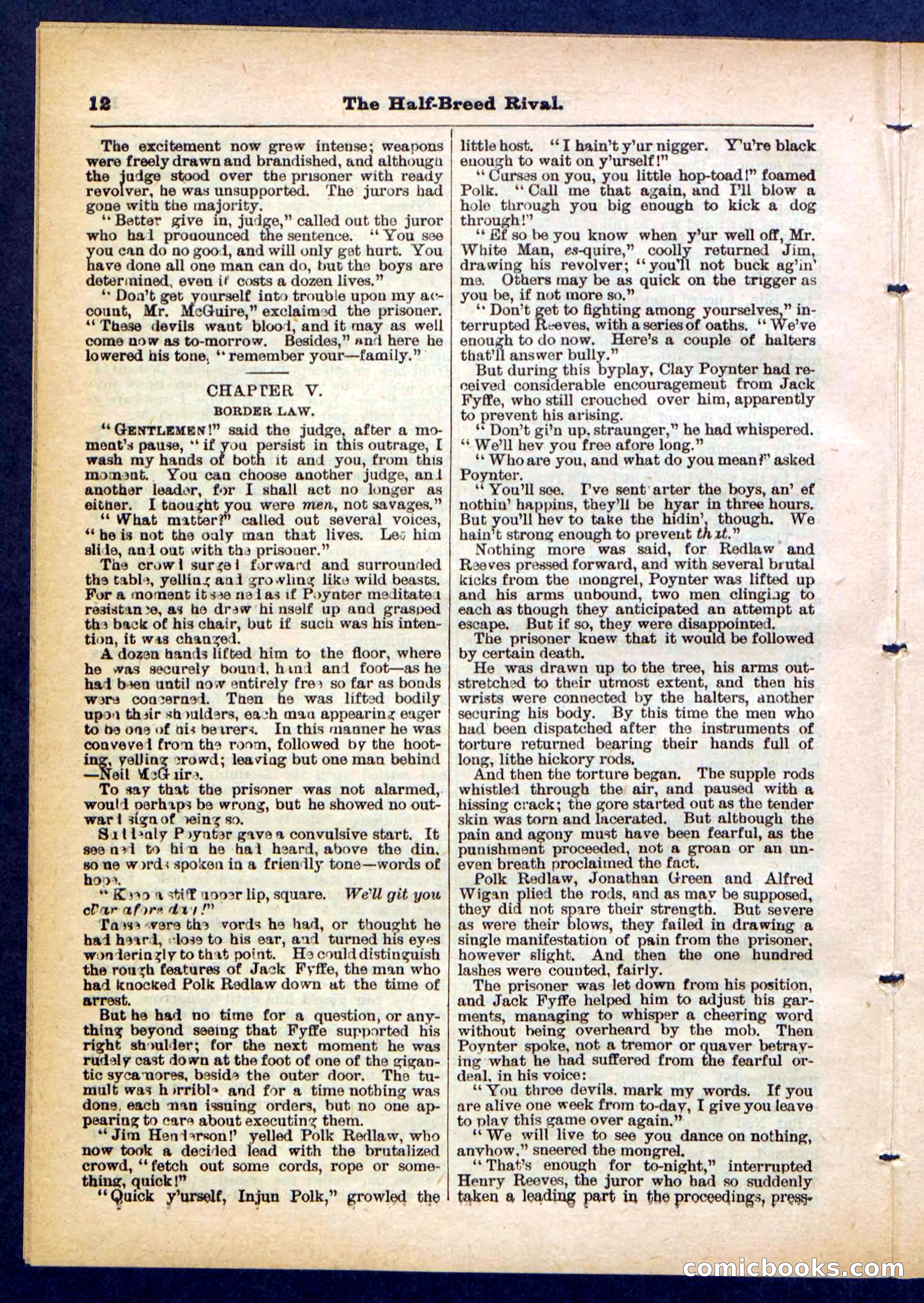 Beadle's Pocket Library No. 453 — page 12 of 32