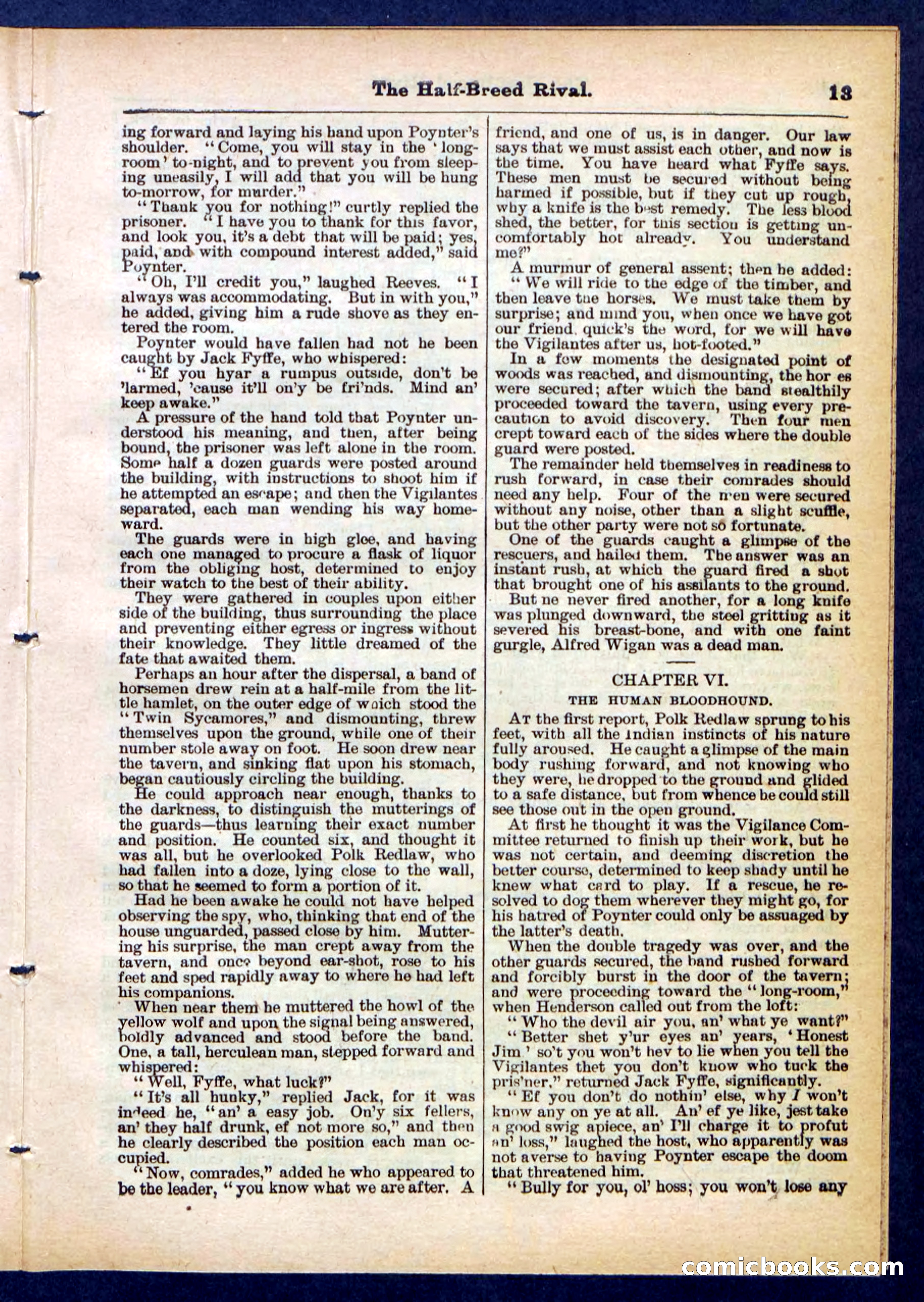 Beadle's Pocket Library No. 453 — page 13 of 32