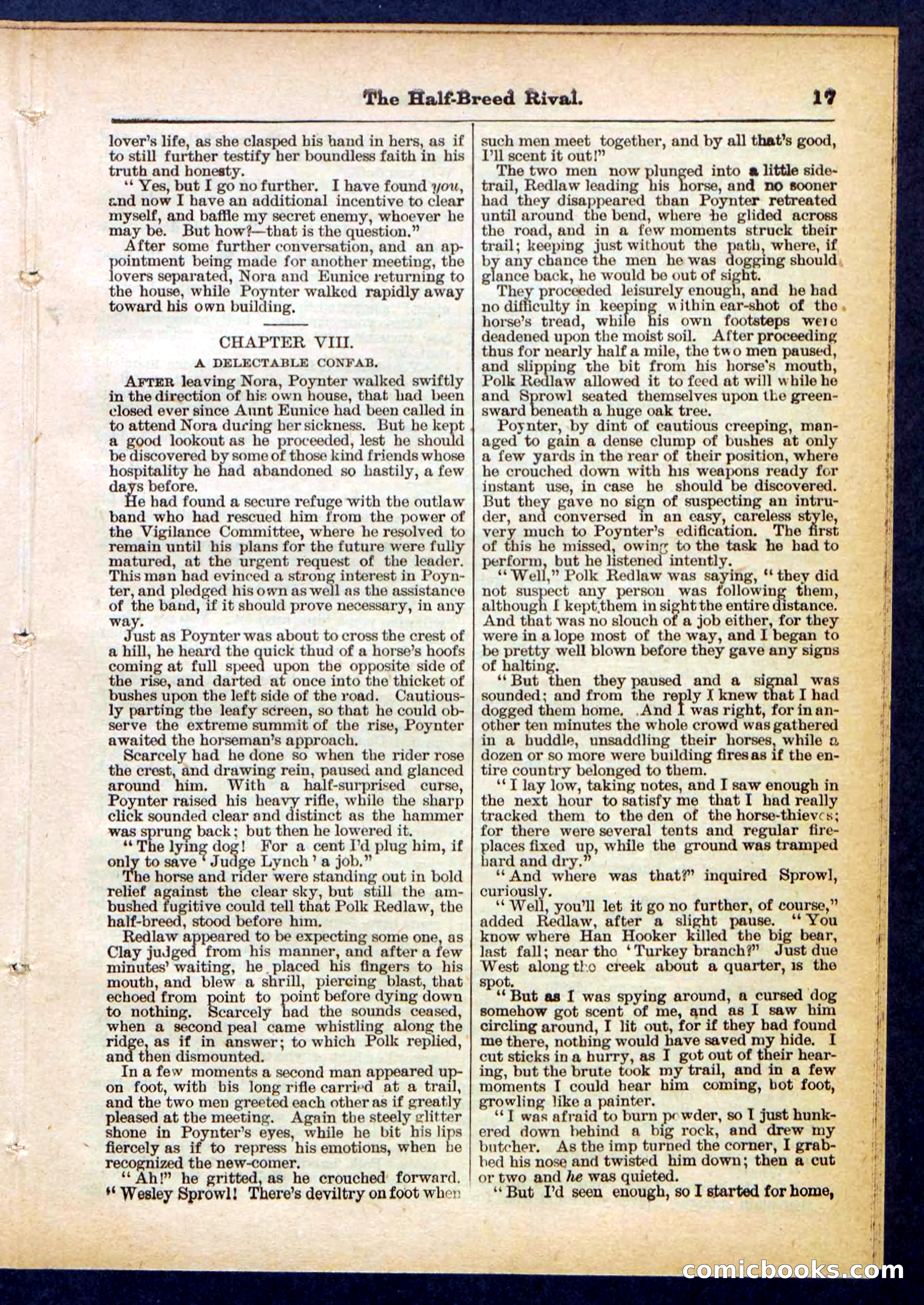 Beadle's Pocket Library No. 453 — page 17 of 32