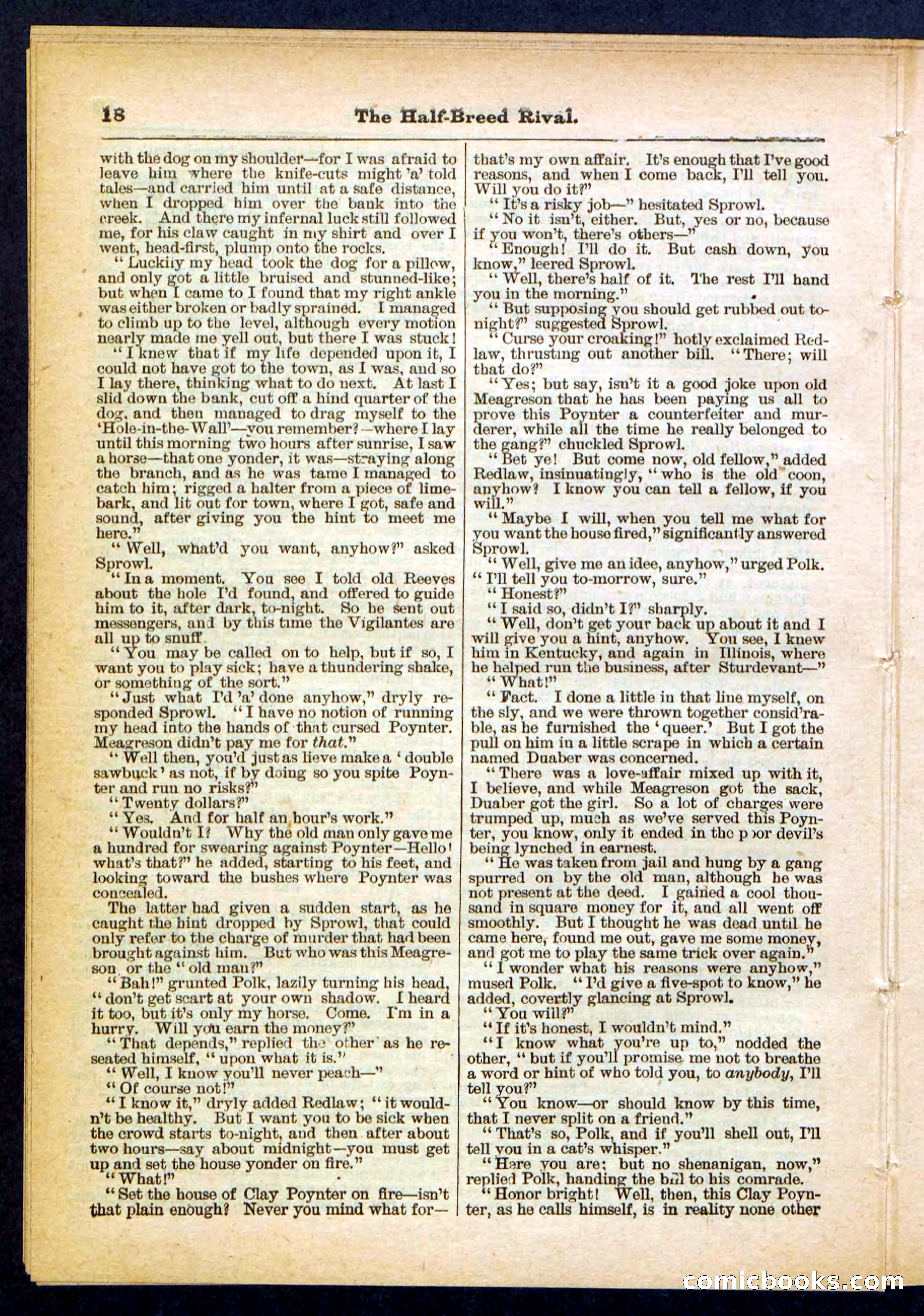 Beadle's Pocket Library No. 453 — page 18 of 32