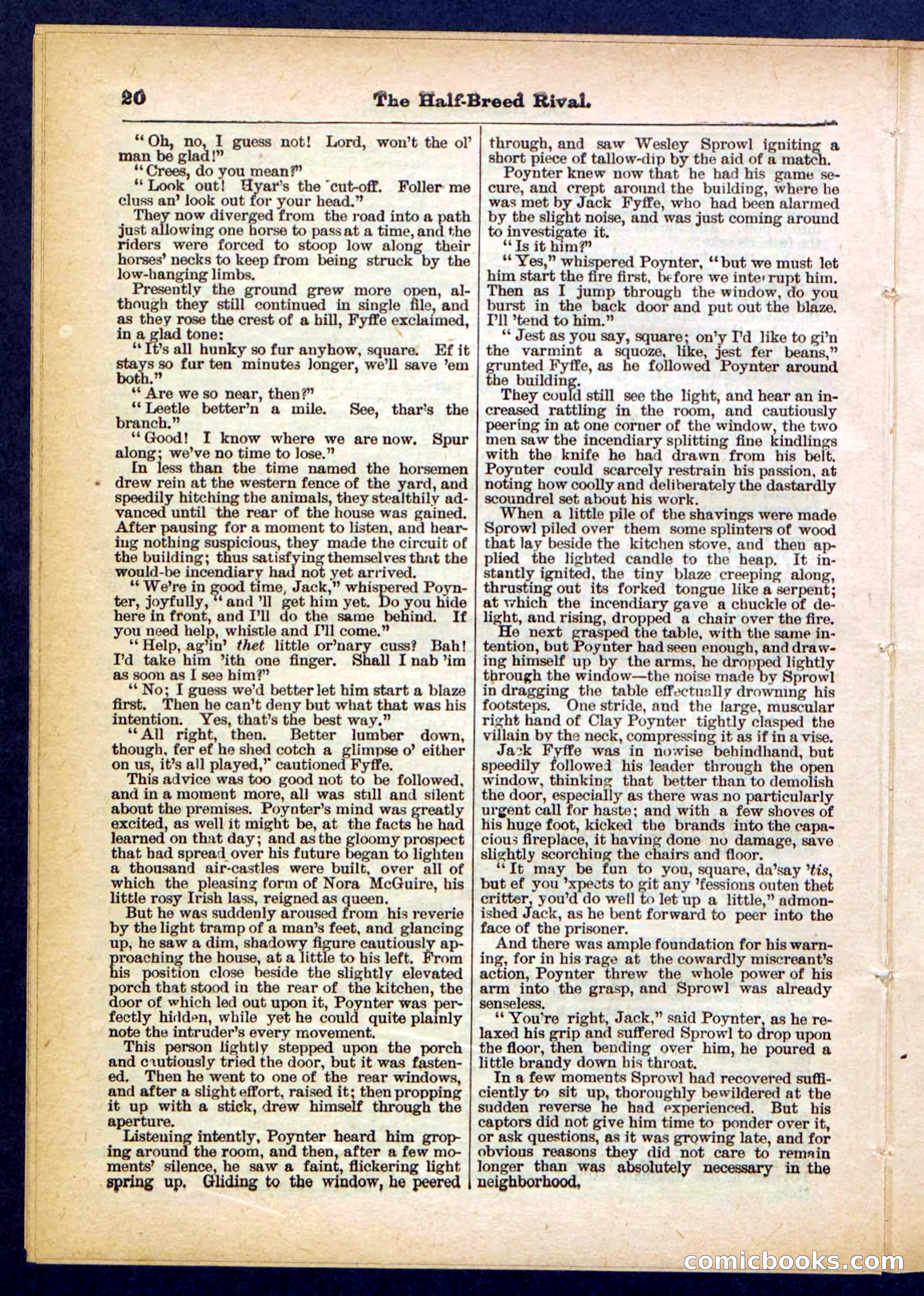 Beadle's Pocket Library No. 453 — page 20 of 32