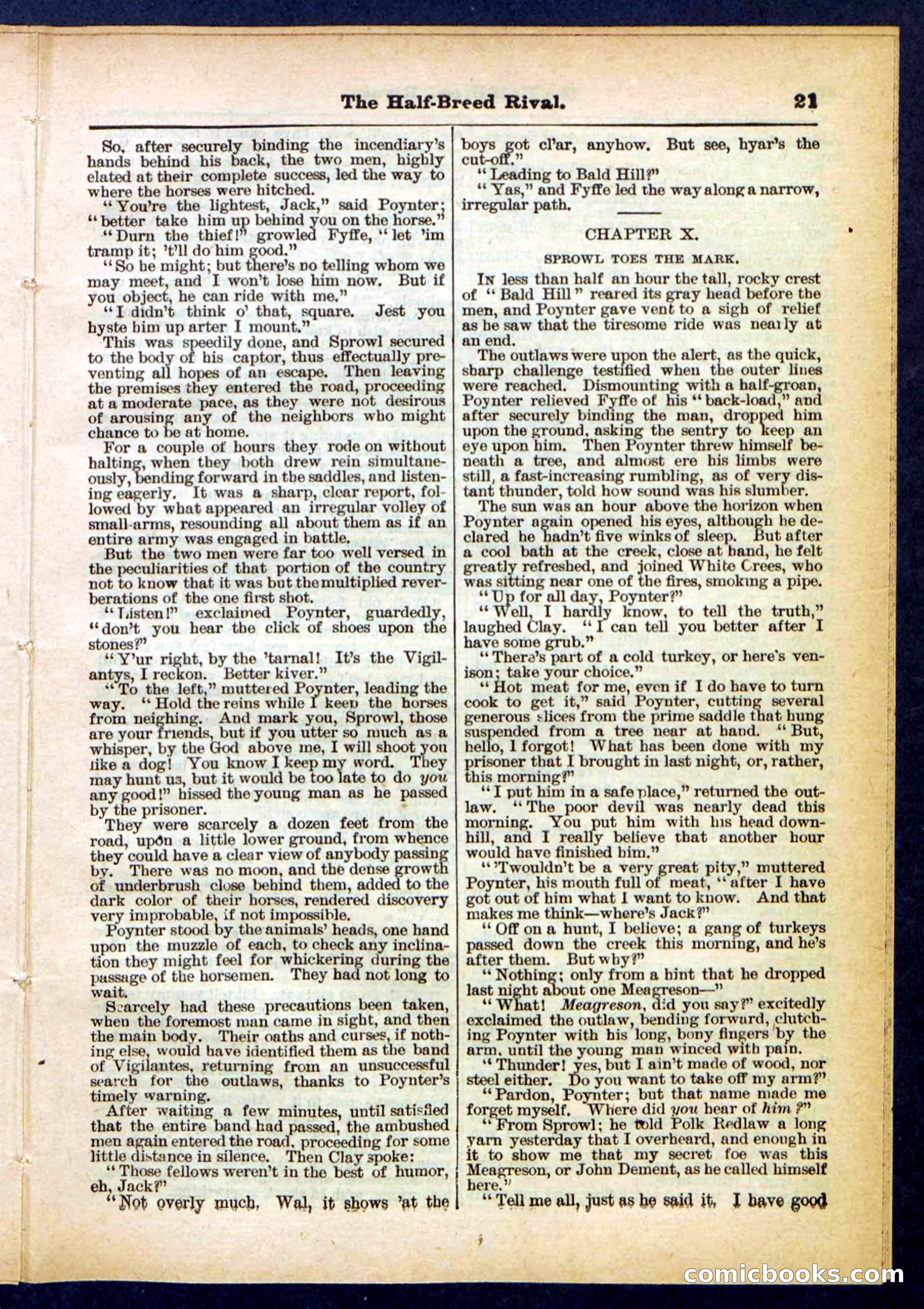 Beadle's Pocket Library No. 453 — page 21 of 32