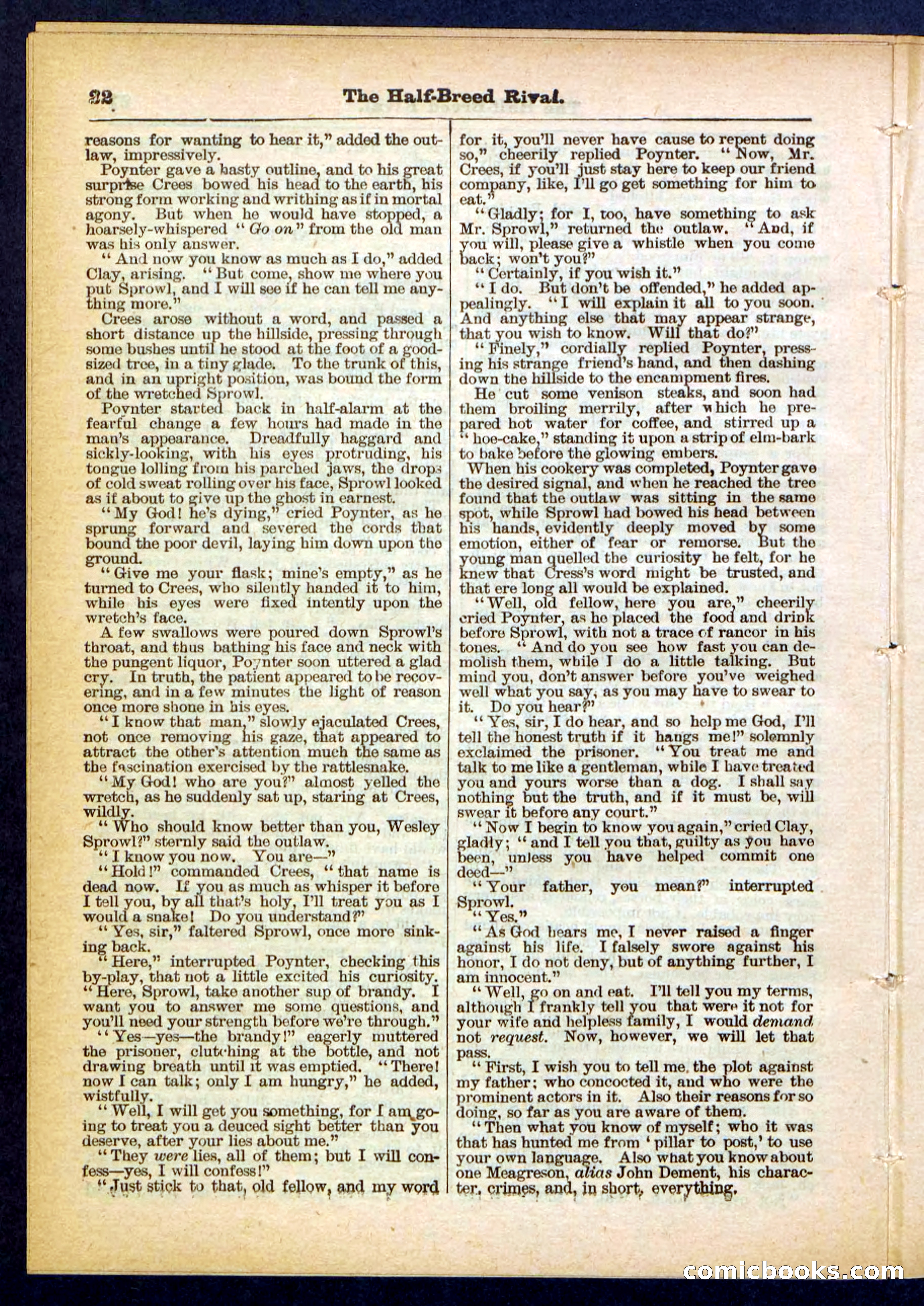 Beadle's Pocket Library No. 453 — page 22 of 32
