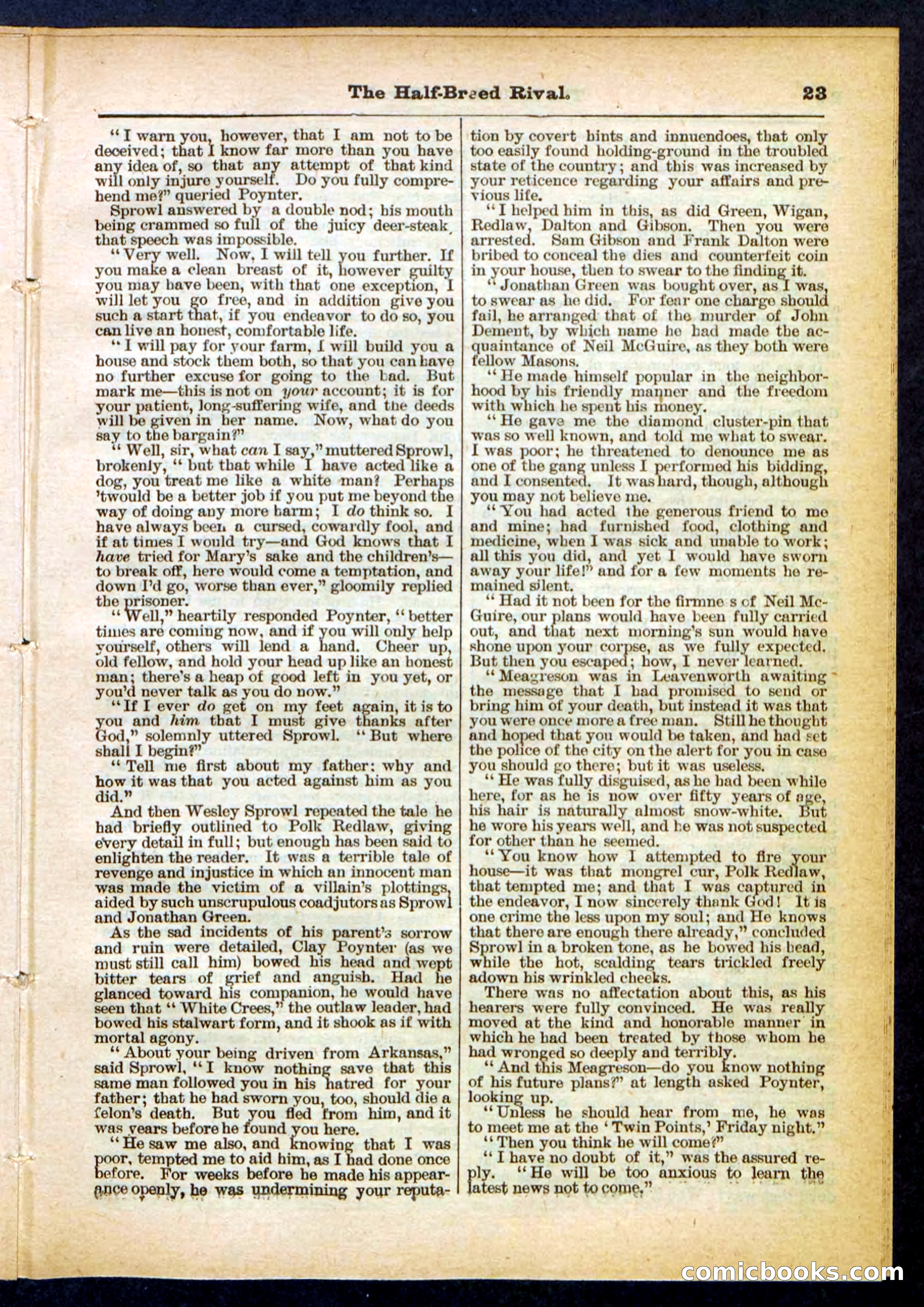 Beadle's Pocket Library No. 453 — page 23 of 32