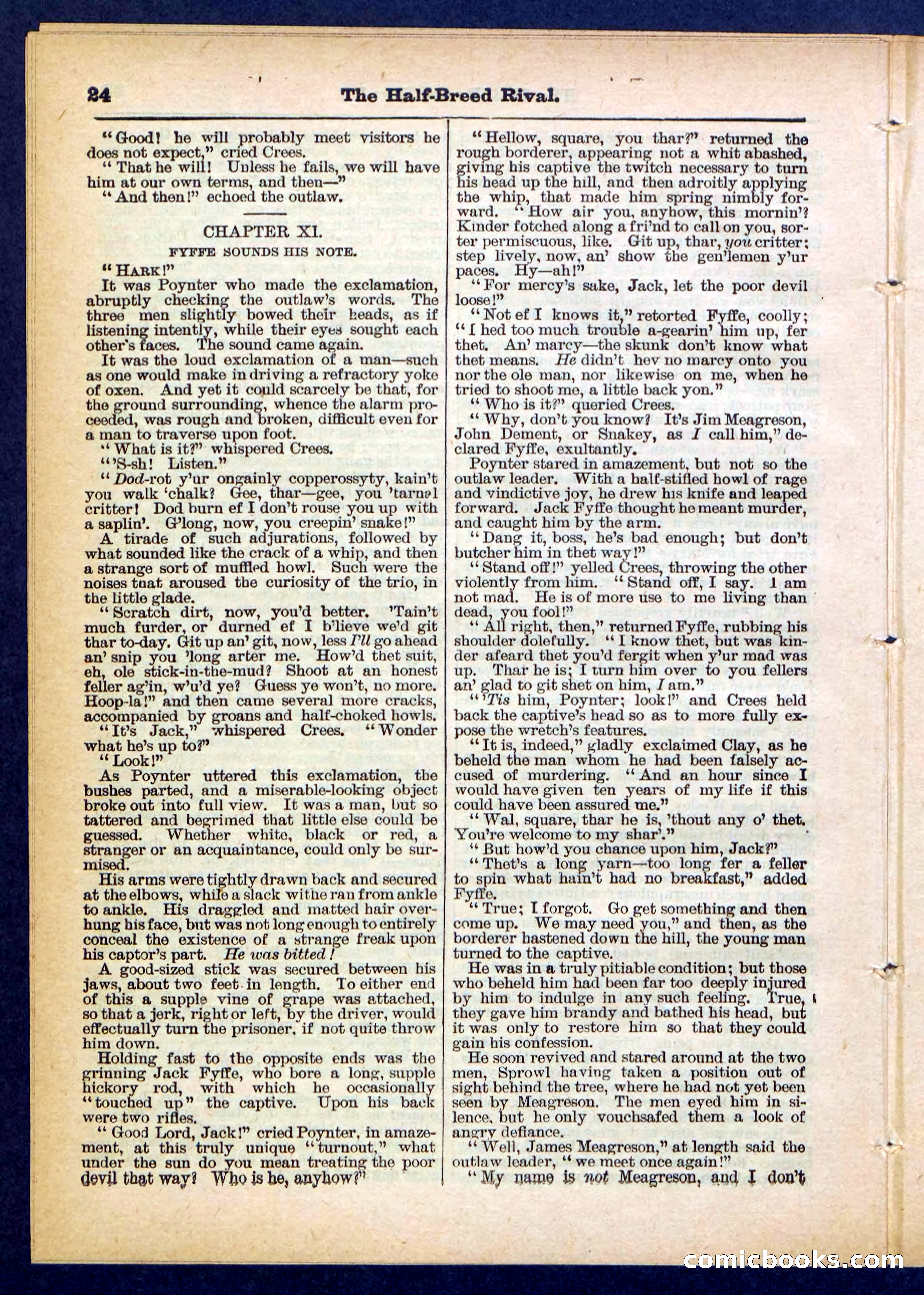 Beadle's Pocket Library No. 453 — page 24 of 32