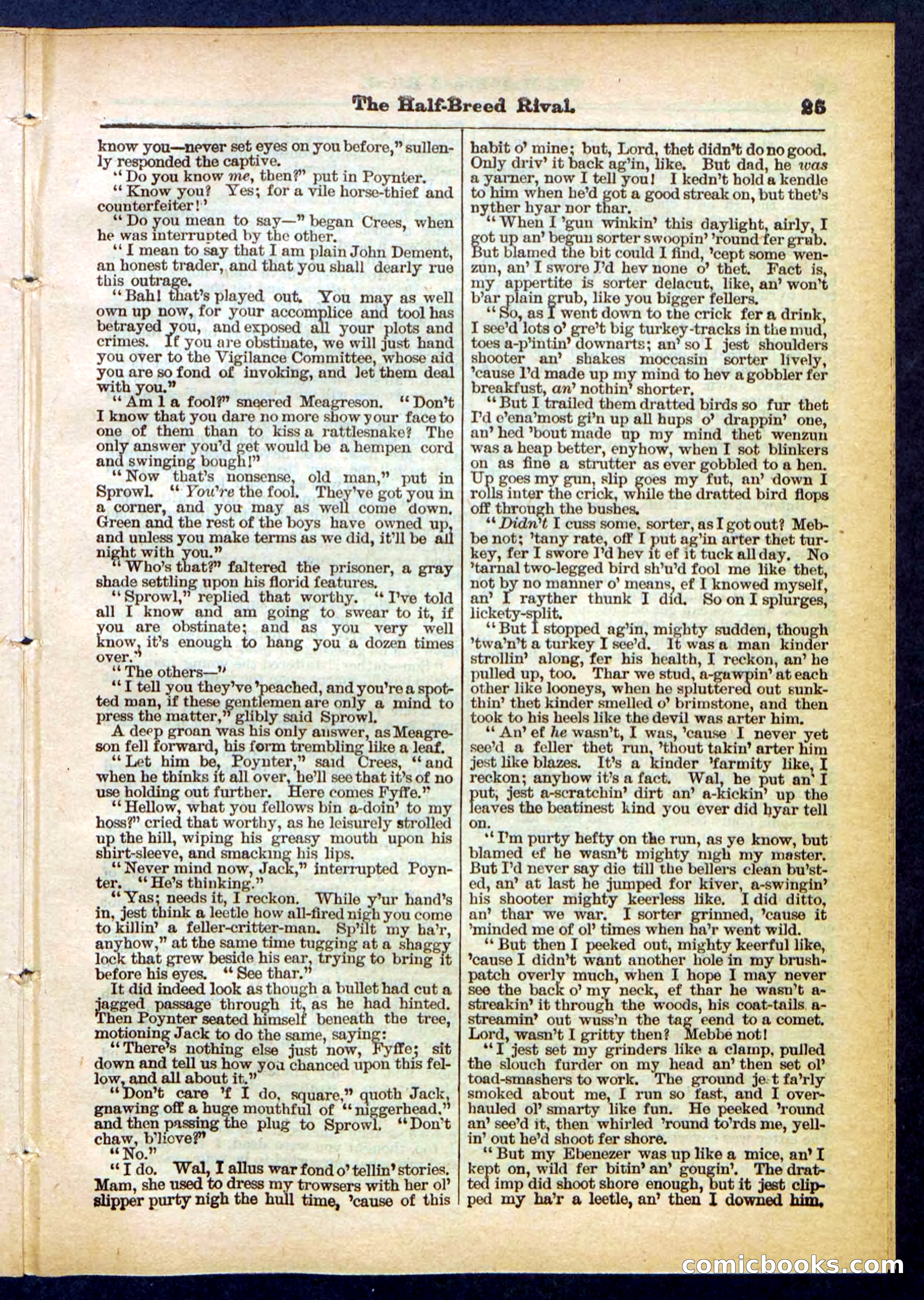 Beadle's Pocket Library No. 453 — page 25 of 32