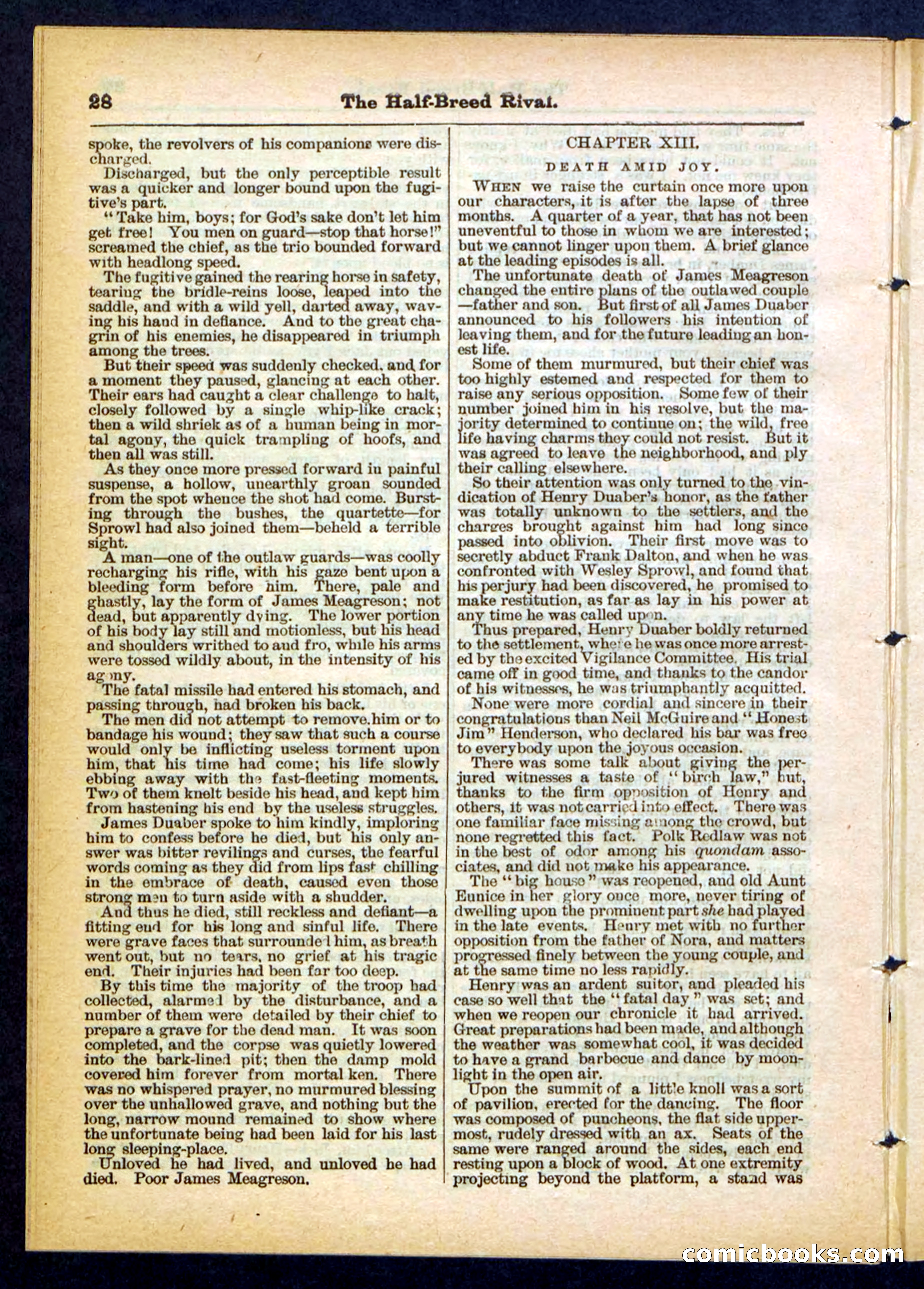 Beadle's Pocket Library No. 453 — page 28 of 32