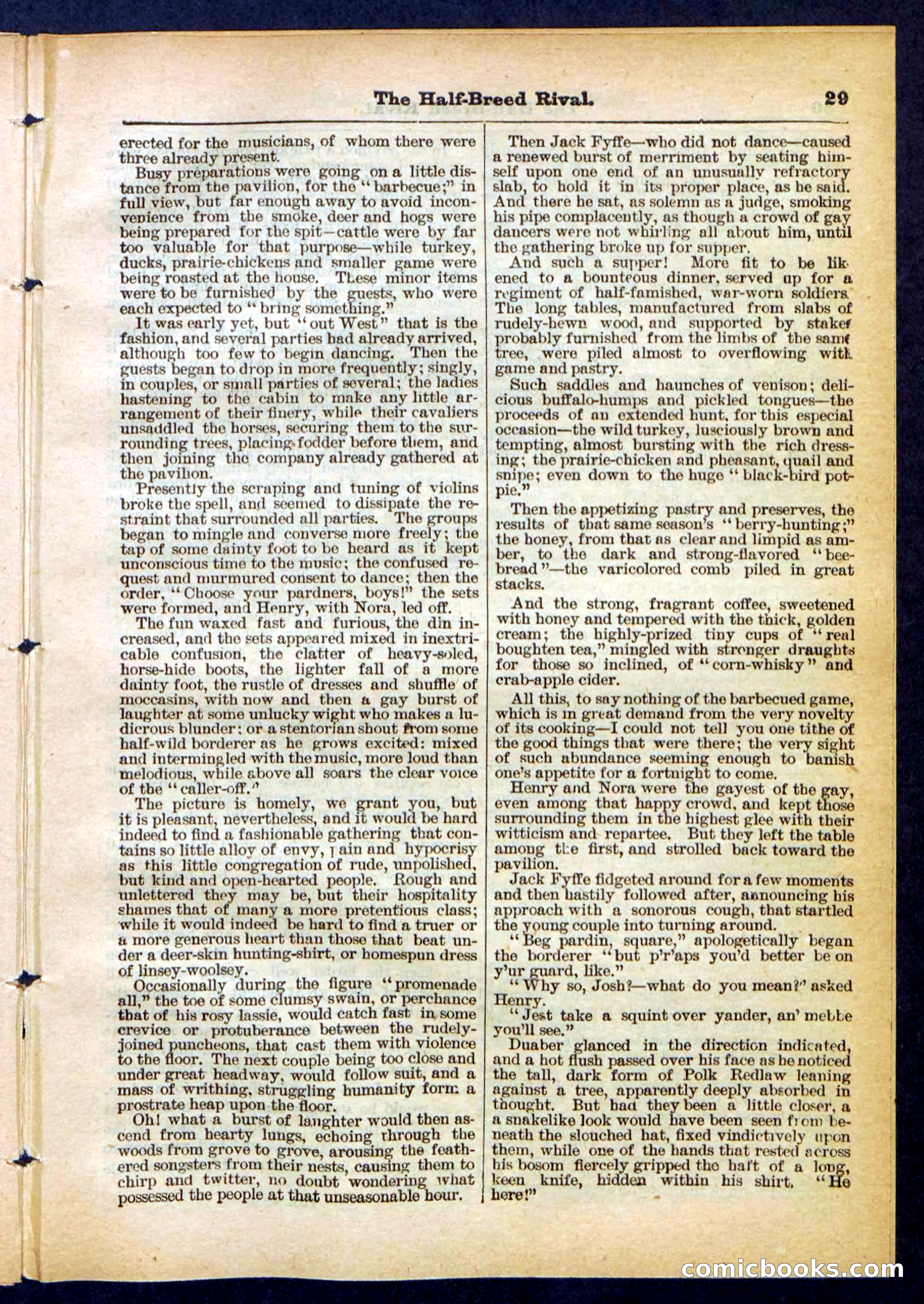 Beadle's Pocket Library No. 453 — page 29 of 32