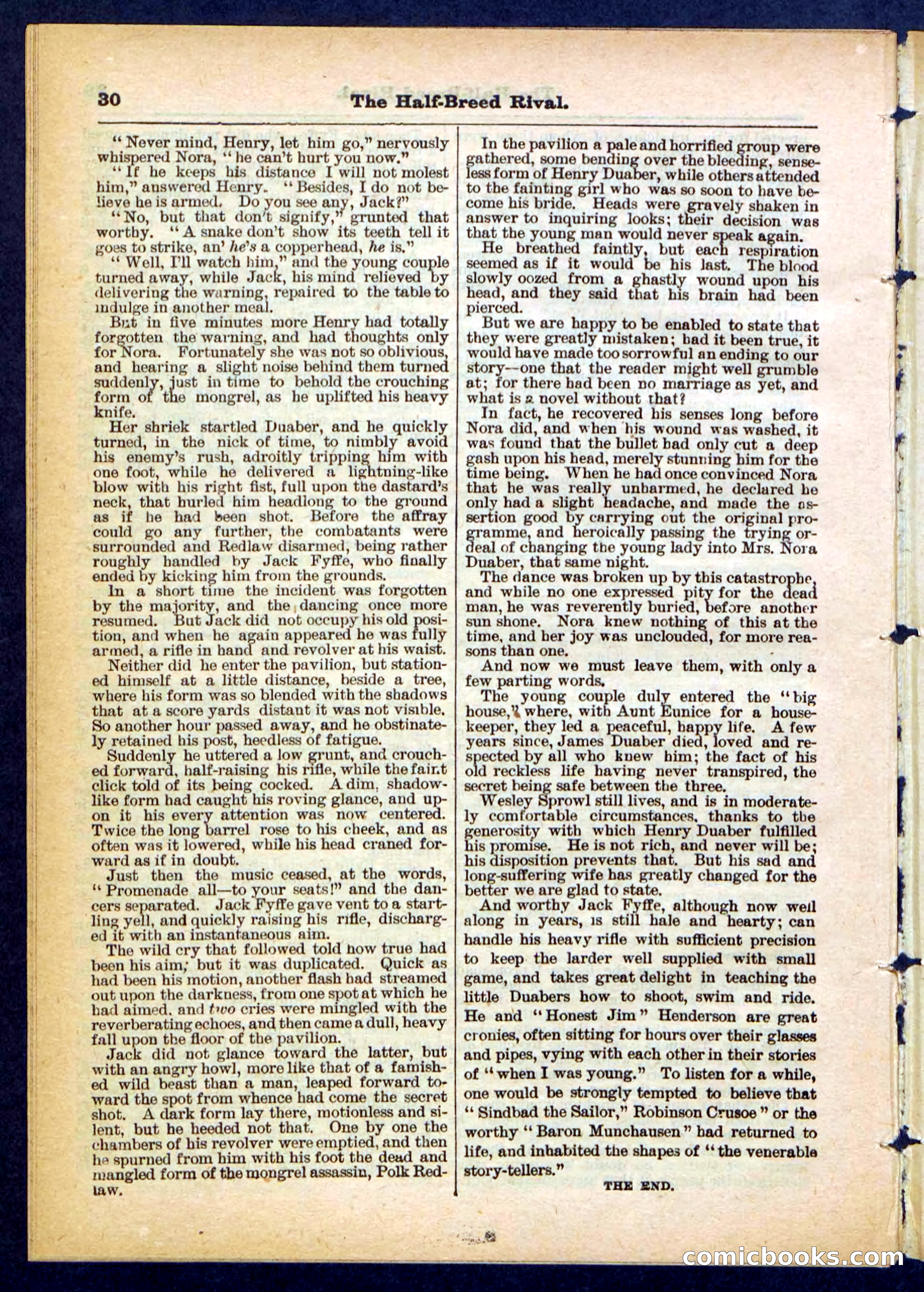 Beadle's Pocket Library No. 453 — page 30 of 32
