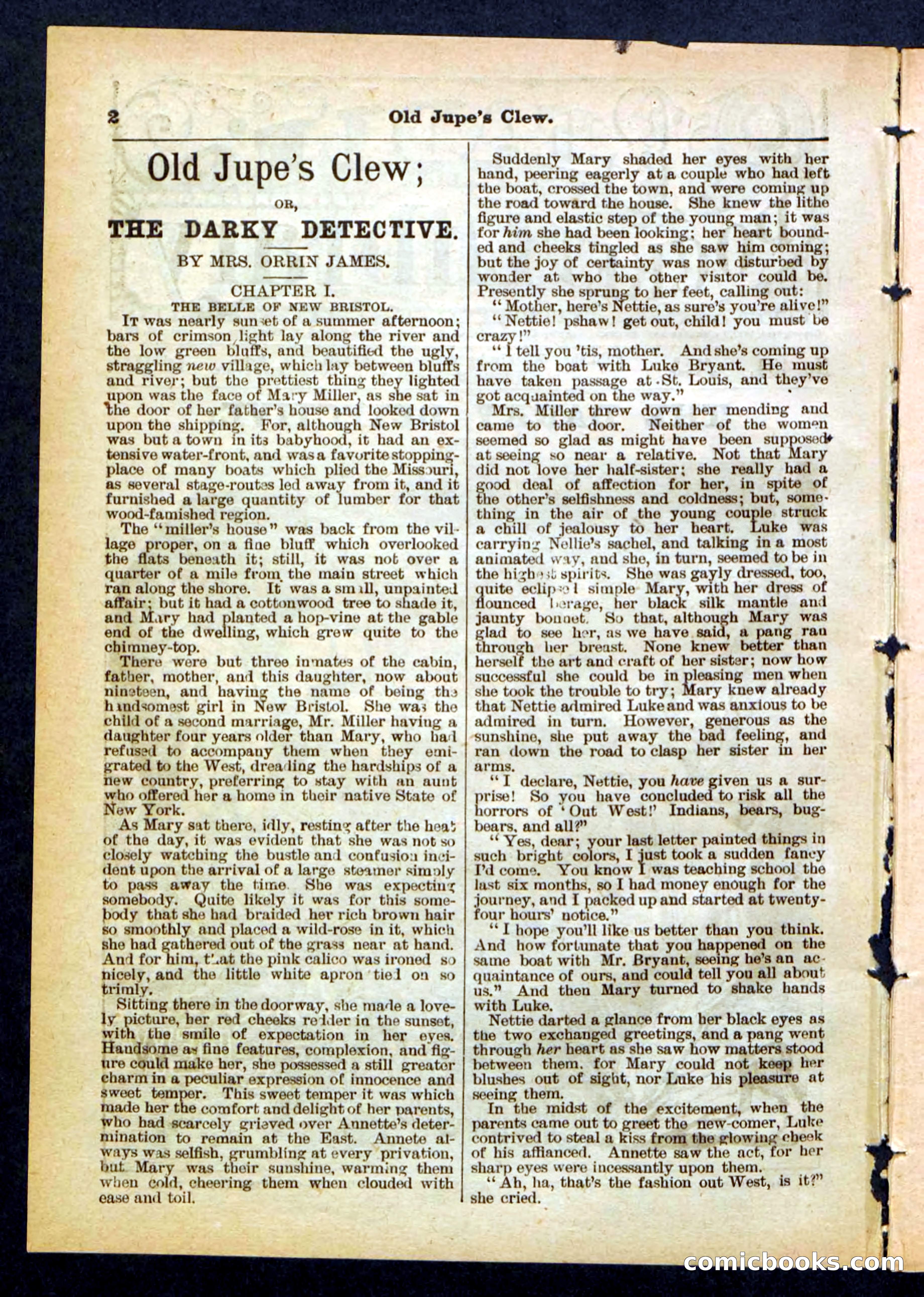 Beadle's Pocket Library No. 454 — page 2 of 32