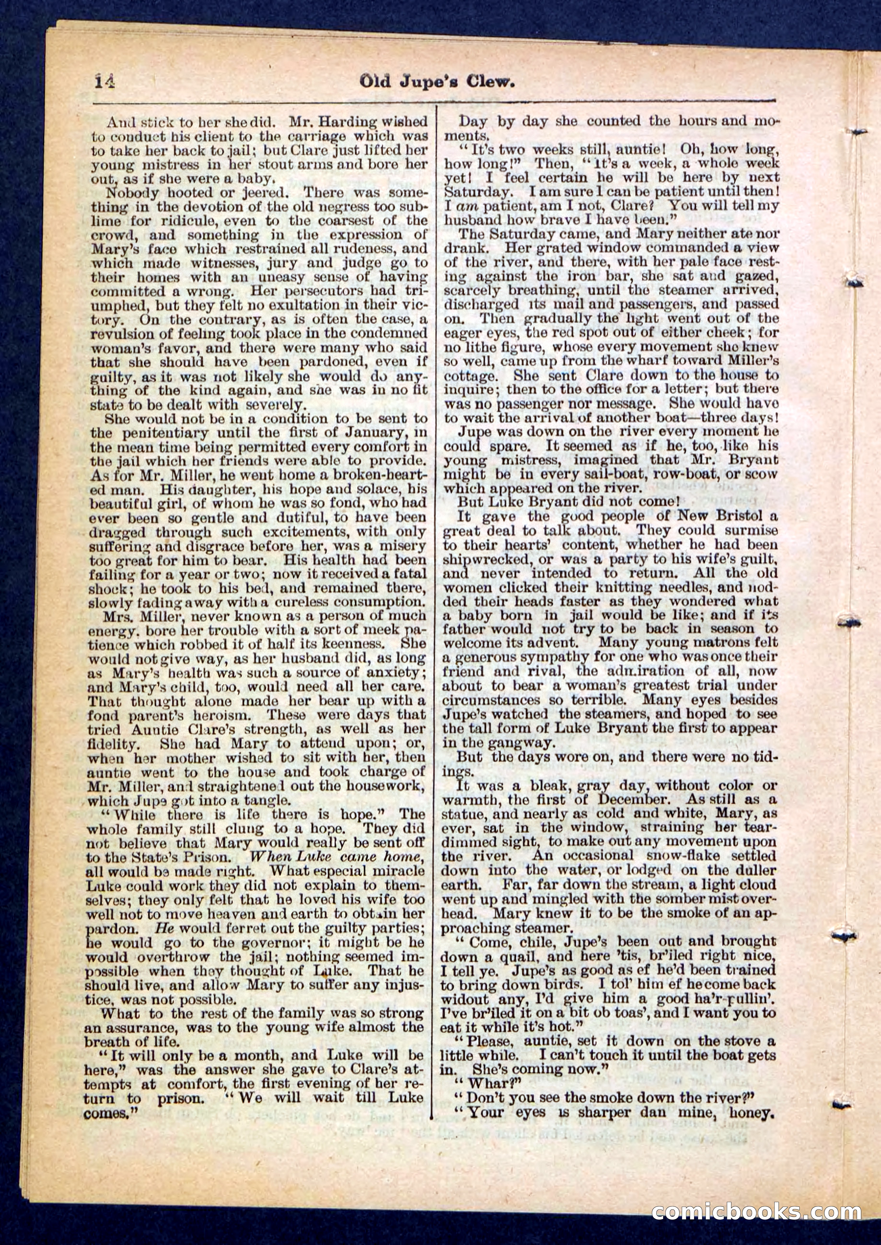 Beadle's Pocket Library No. 454 — page 14 of 32