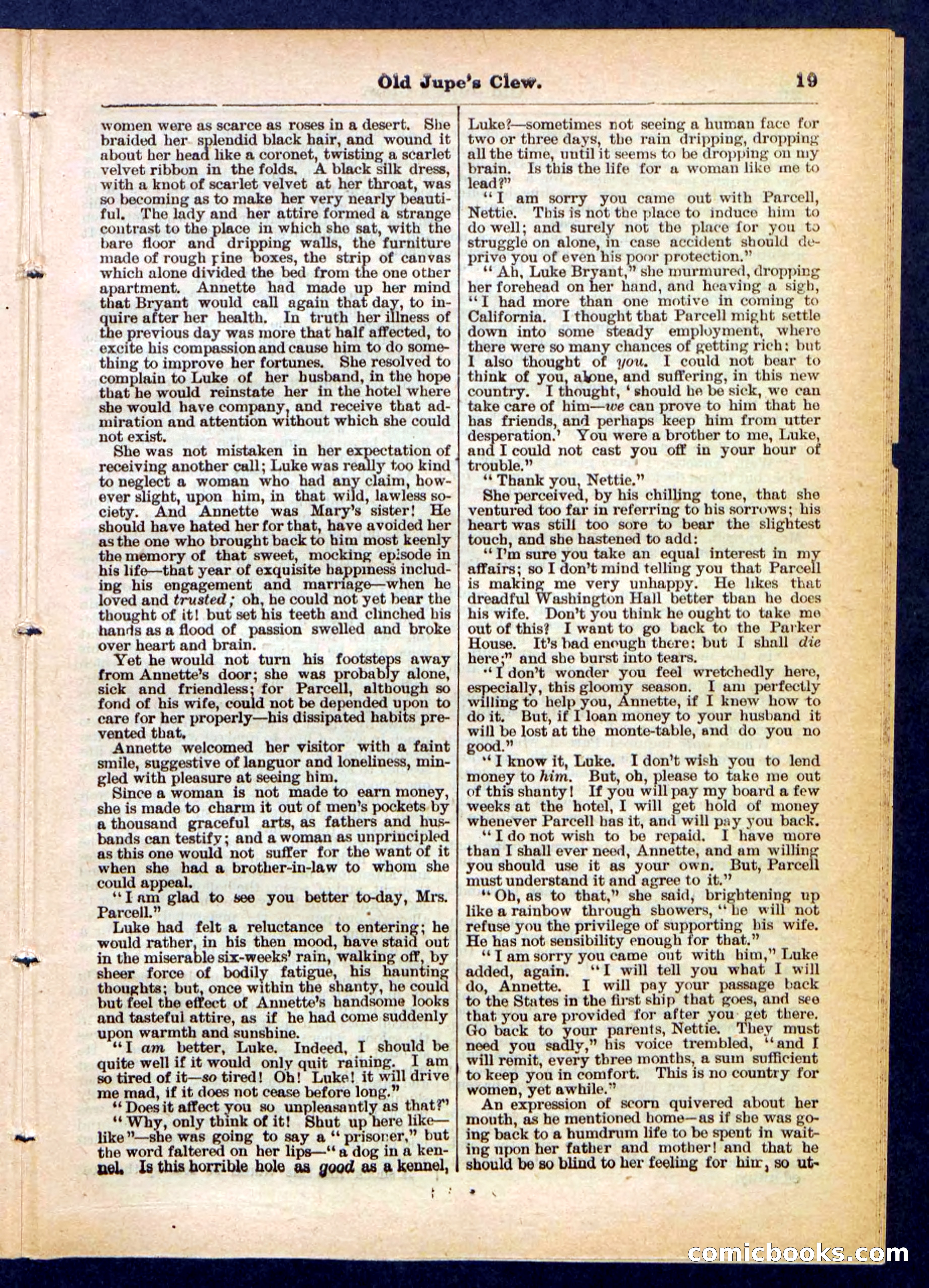 Beadle's Pocket Library No. 454 — page 19 of 32