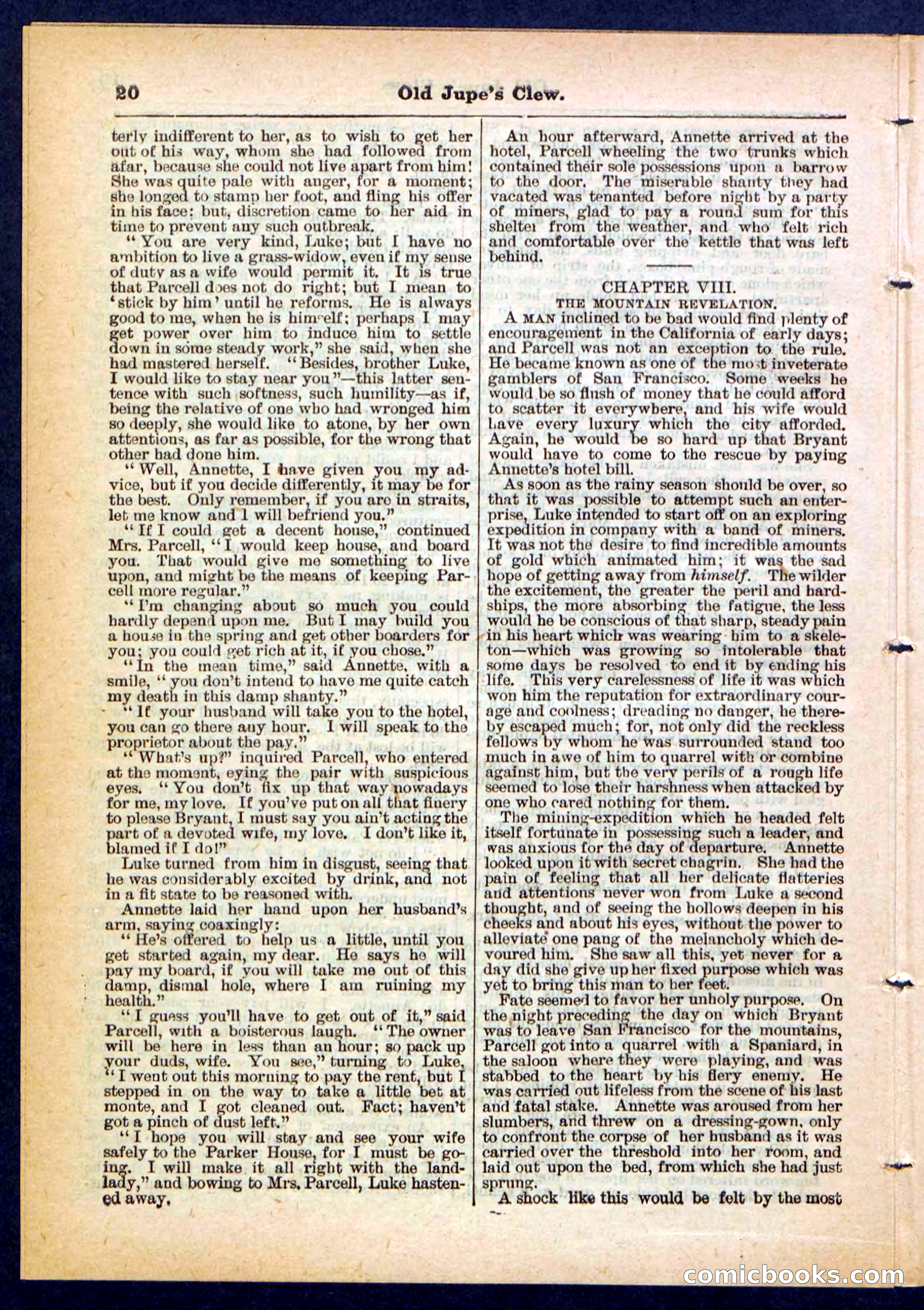 Beadle's Pocket Library No. 454 — page 20 of 32