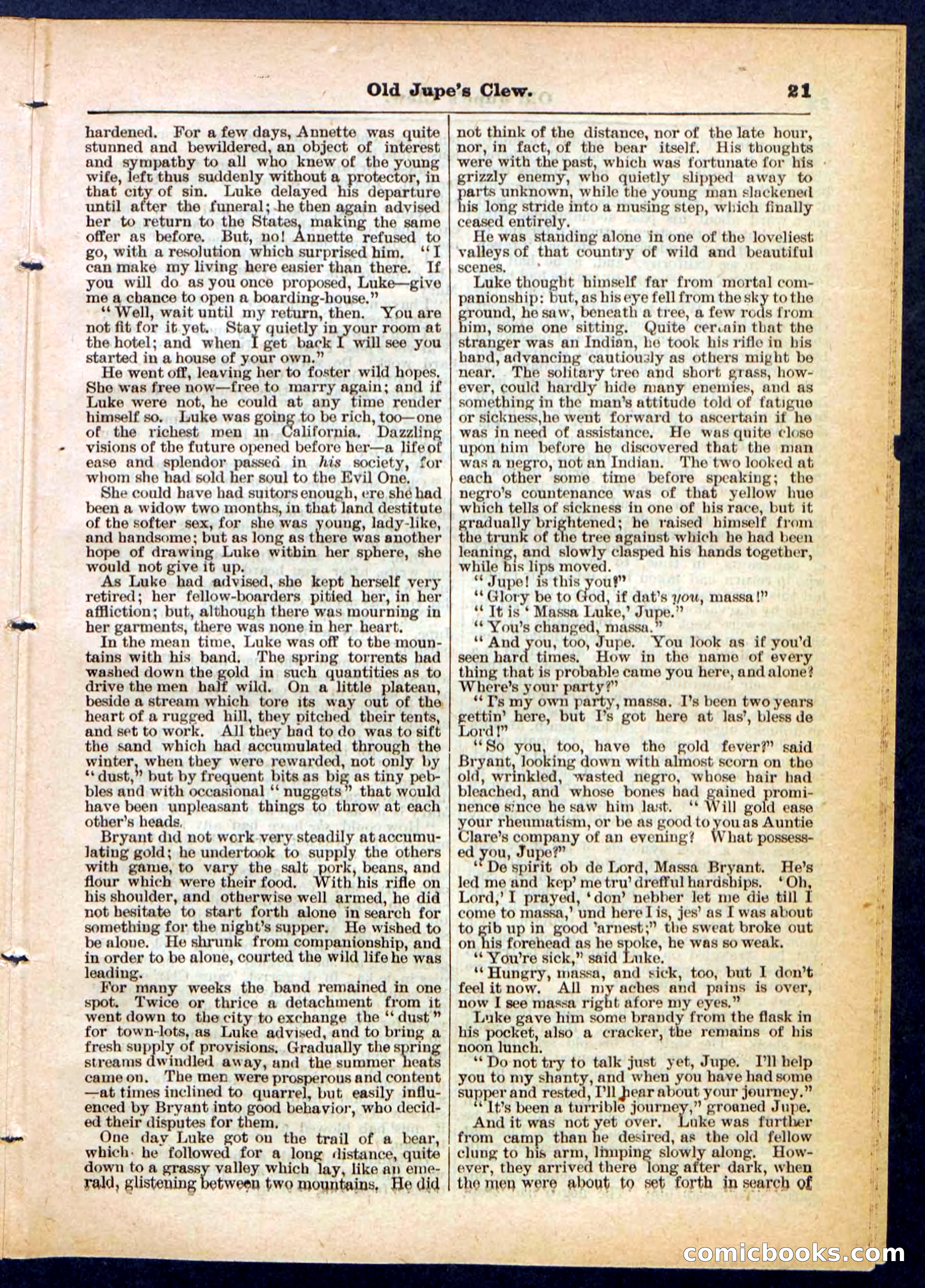 Beadle's Pocket Library No. 454 — page 21 of 32