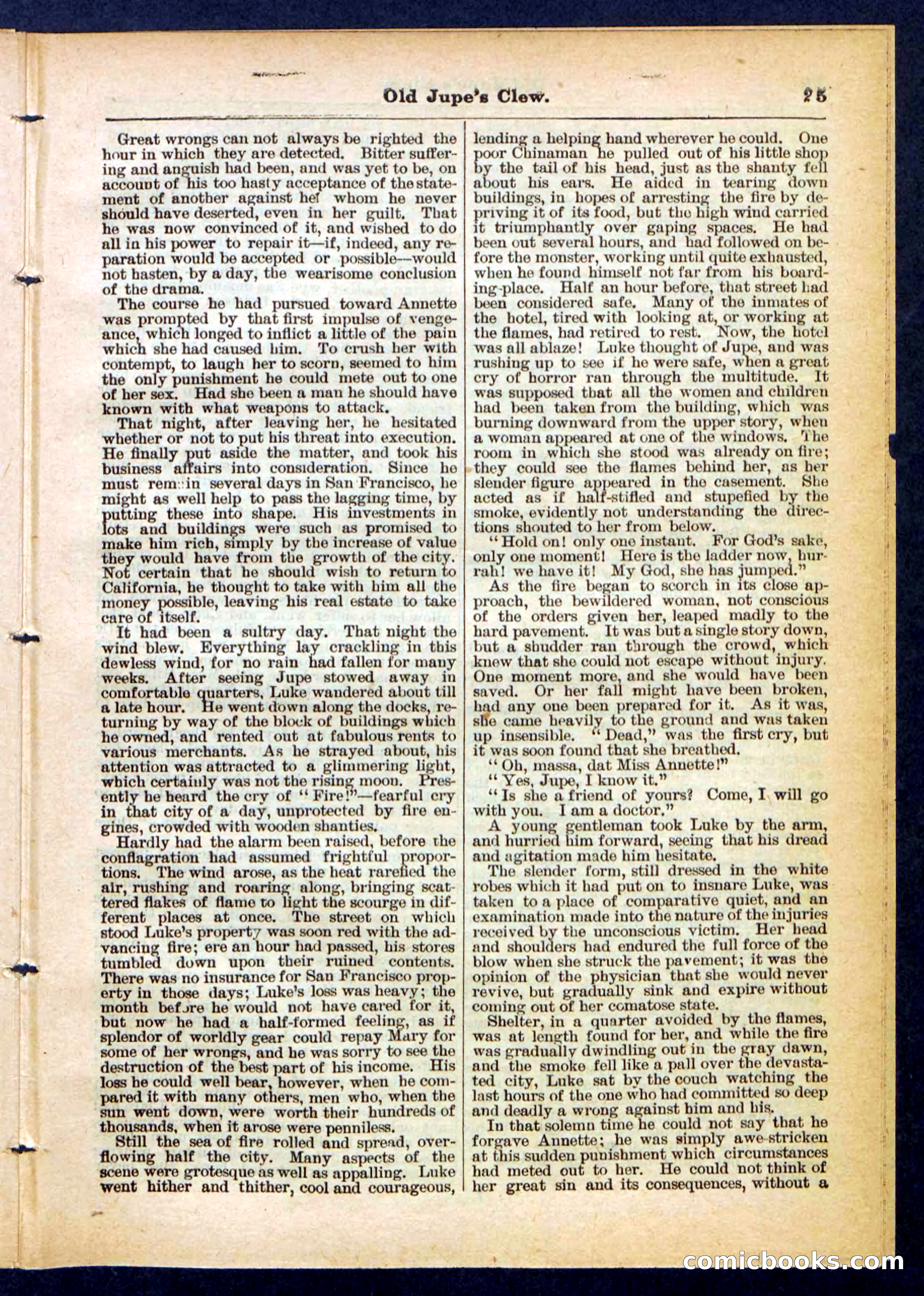 Beadle's Pocket Library No. 454 — page 25 of 32