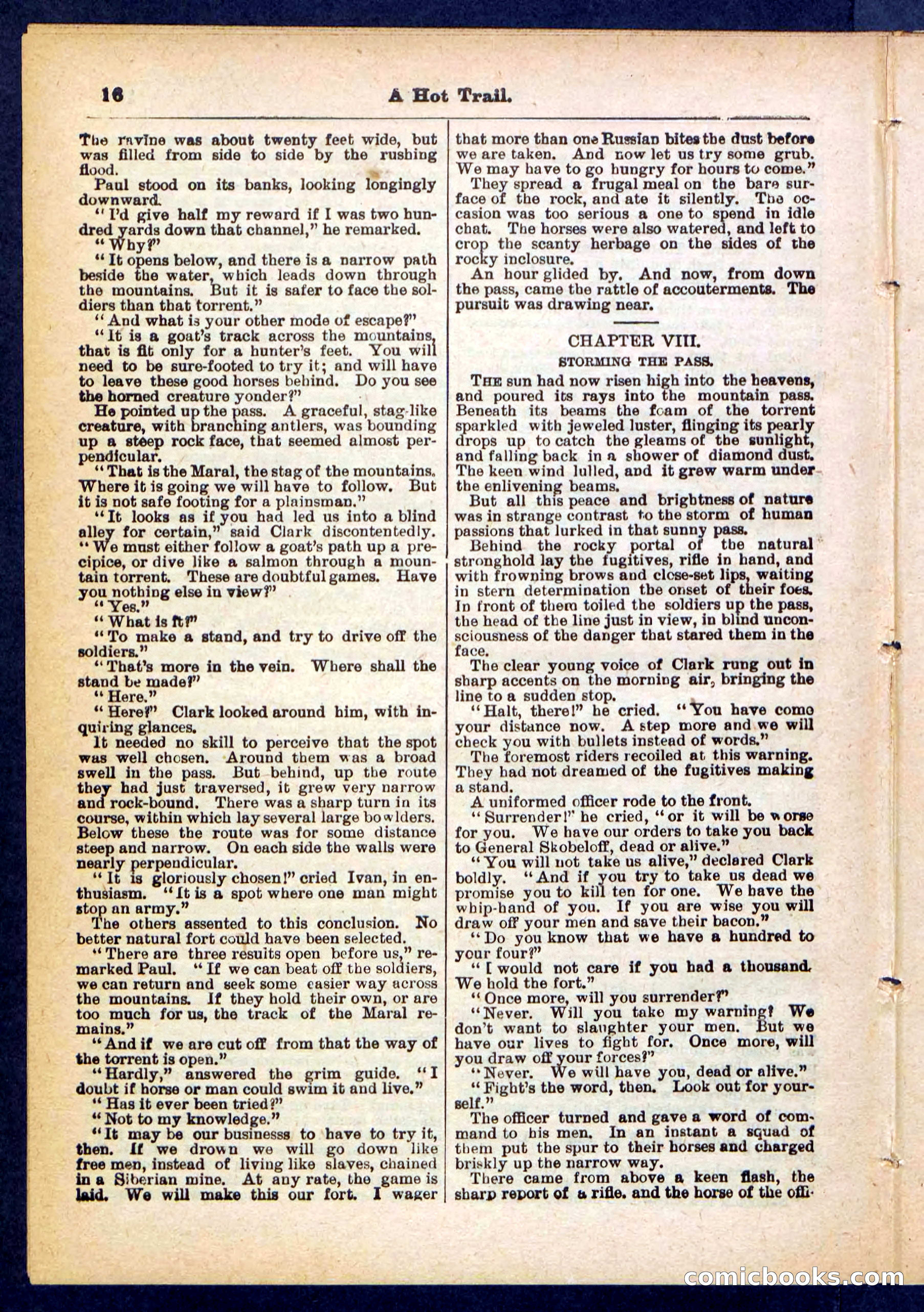 Beadle's Pocket Library No. 455 — page 16 of 32
