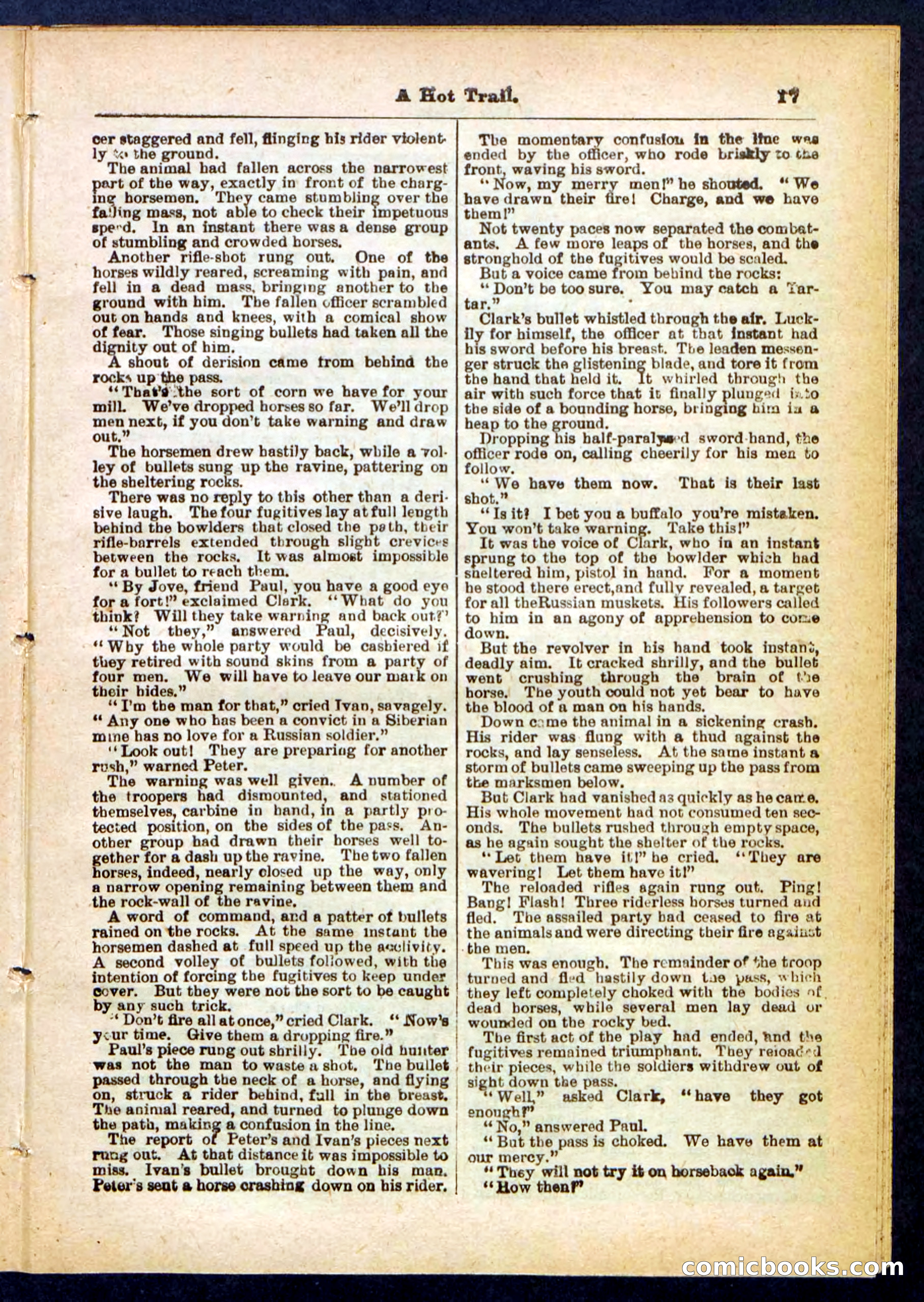 Beadle's Pocket Library No. 455 — page 17 of 32