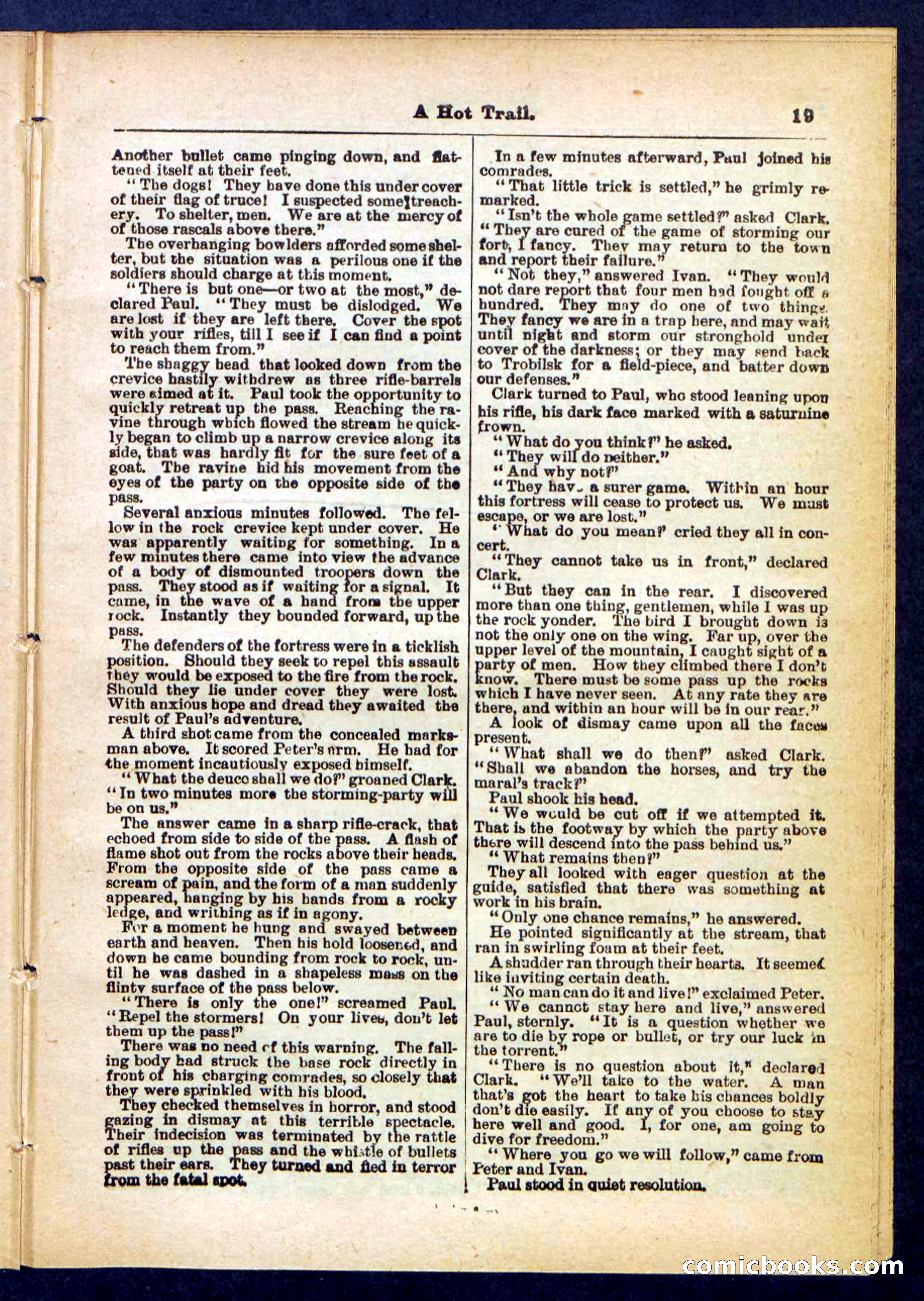 Beadle's Pocket Library No. 455 — page 19 of 32