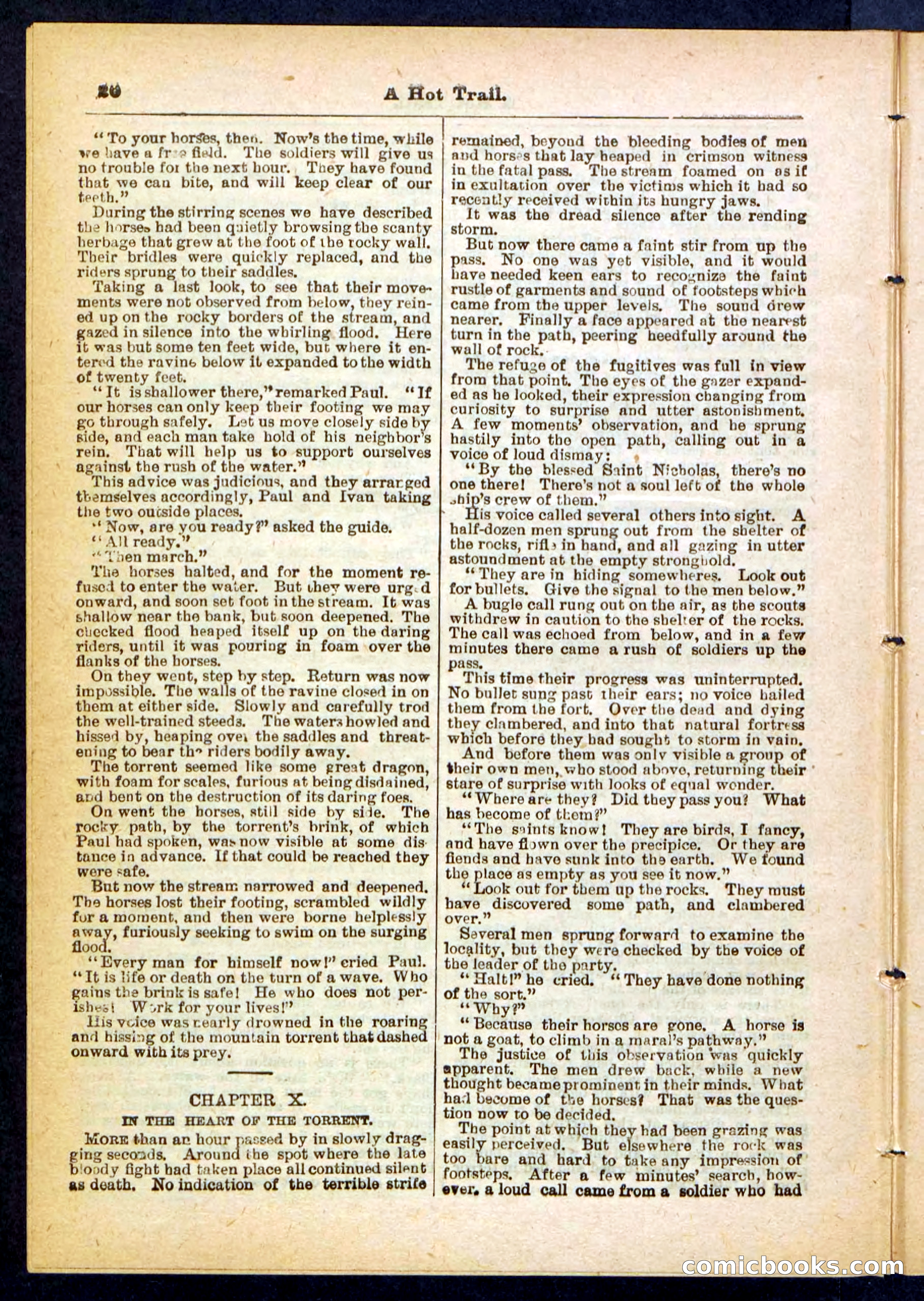 Beadle's Pocket Library No. 455 — page 20 of 32