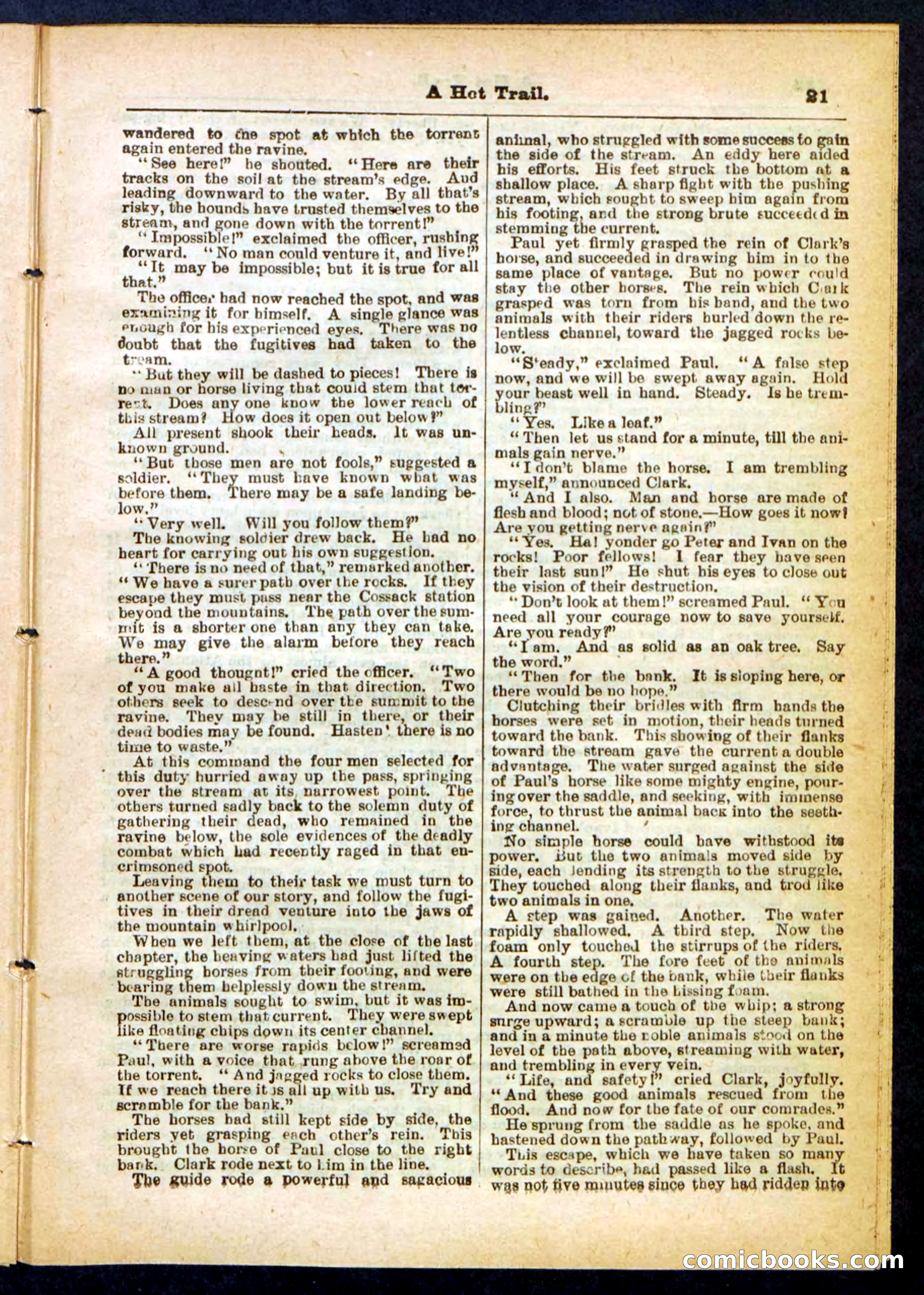 Beadle's Pocket Library No. 455 — page 21 of 32