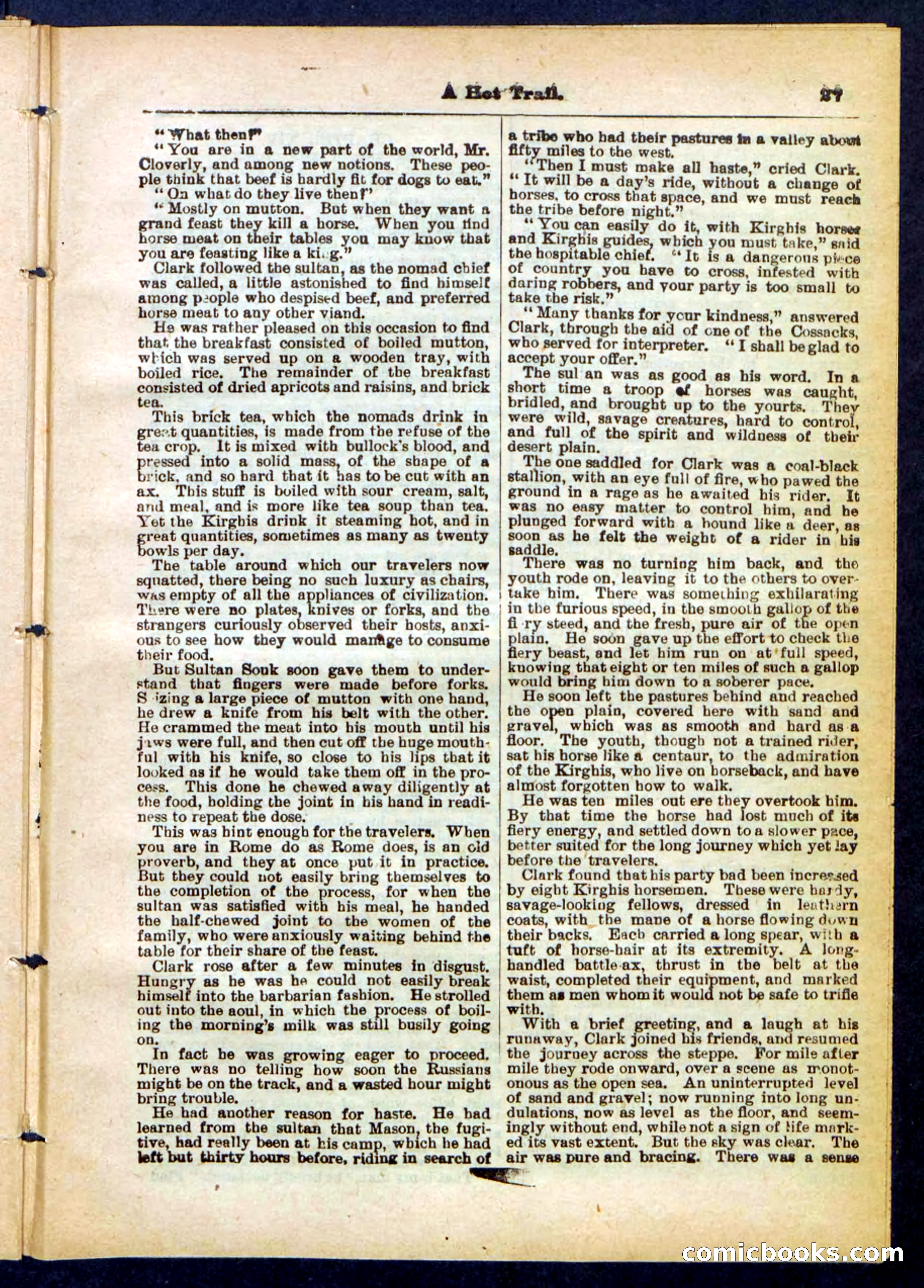 Beadle's Pocket Library No. 455 — page 27 of 32