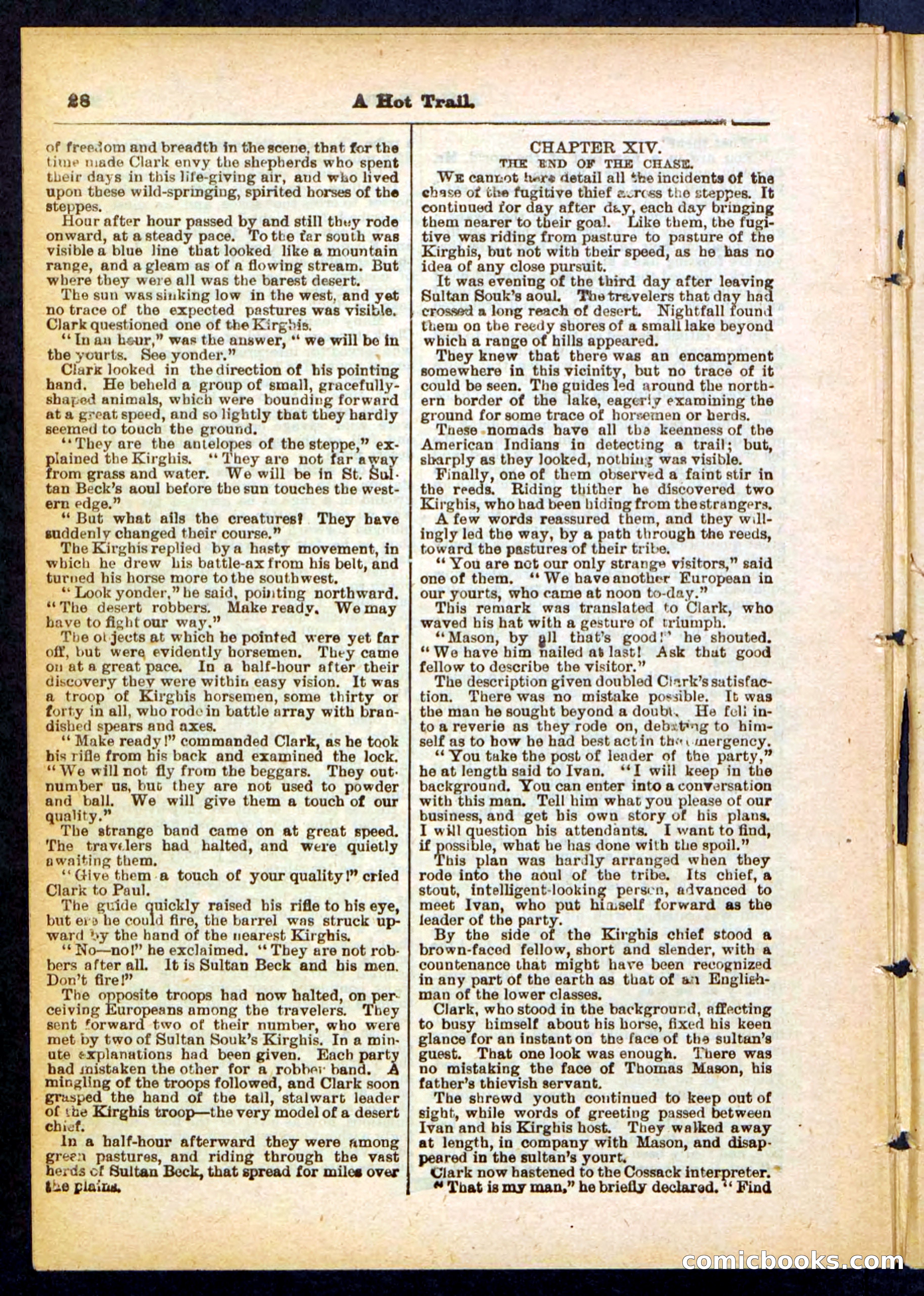 Beadle's Pocket Library No. 455 — page 28 of 32