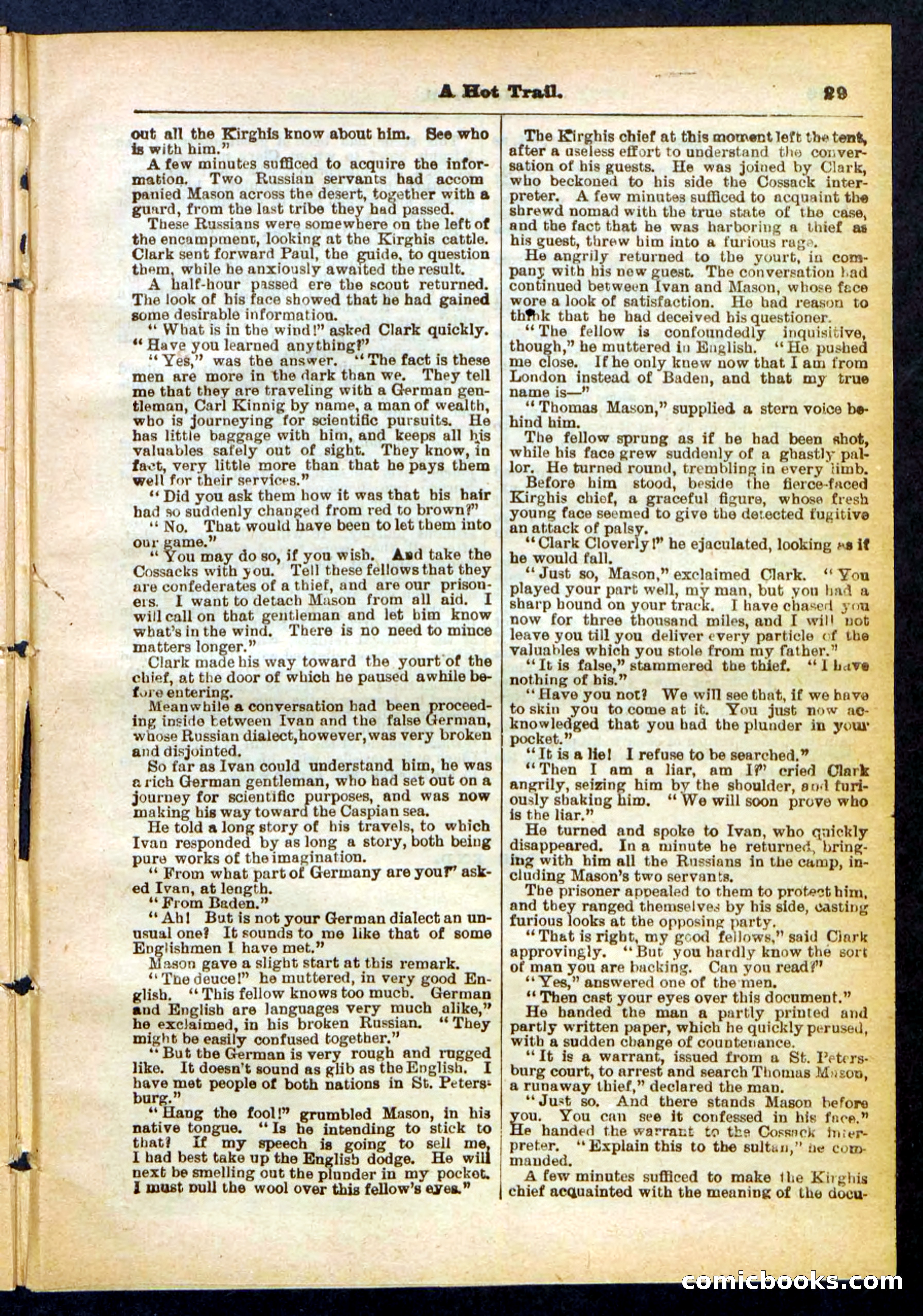Beadle's Pocket Library No. 455 — page 29 of 32