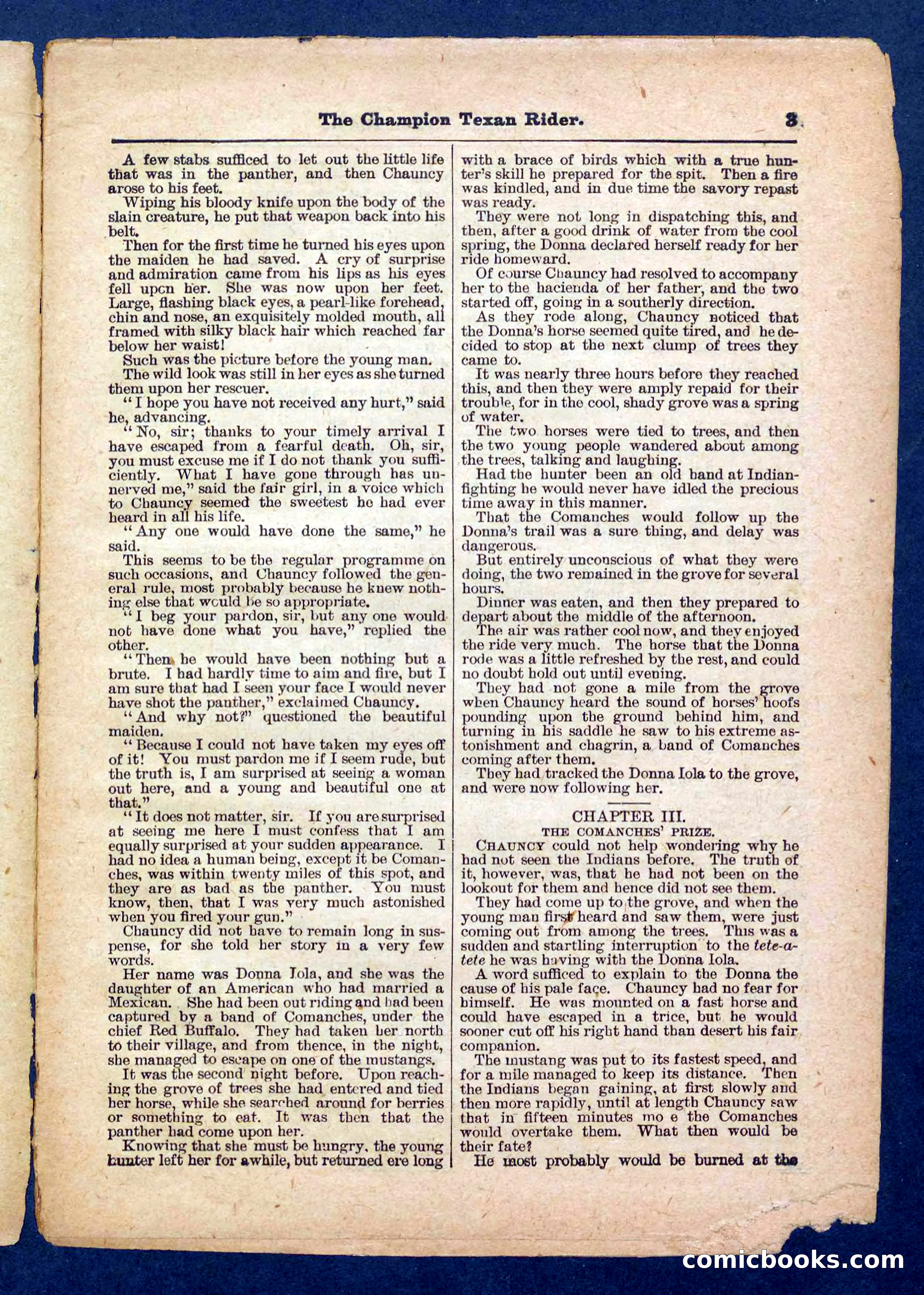 Beadle's Pocket Library No. 458 — page 3 of 32