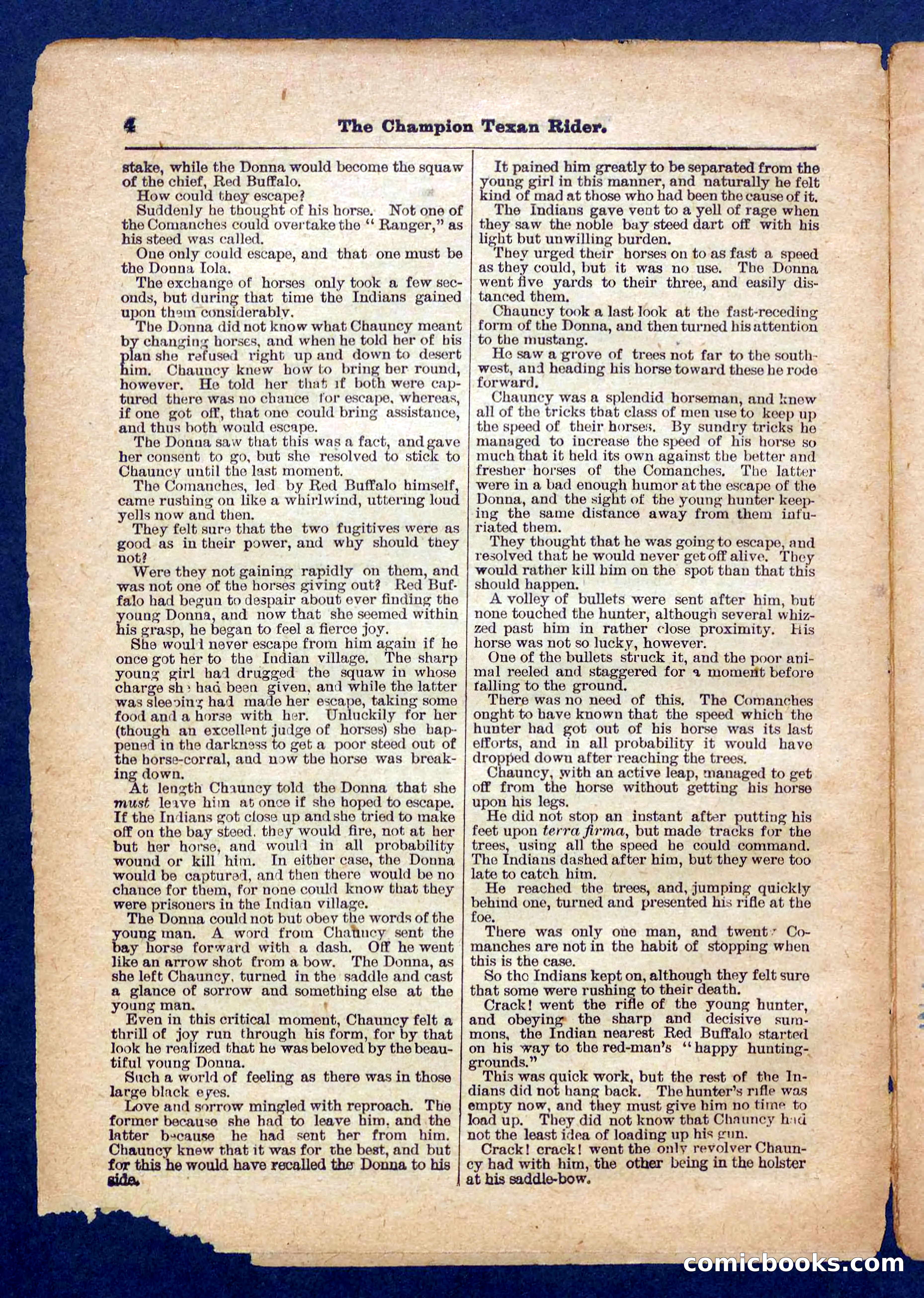 Beadle's Pocket Library No. 458 — page 4 of 32