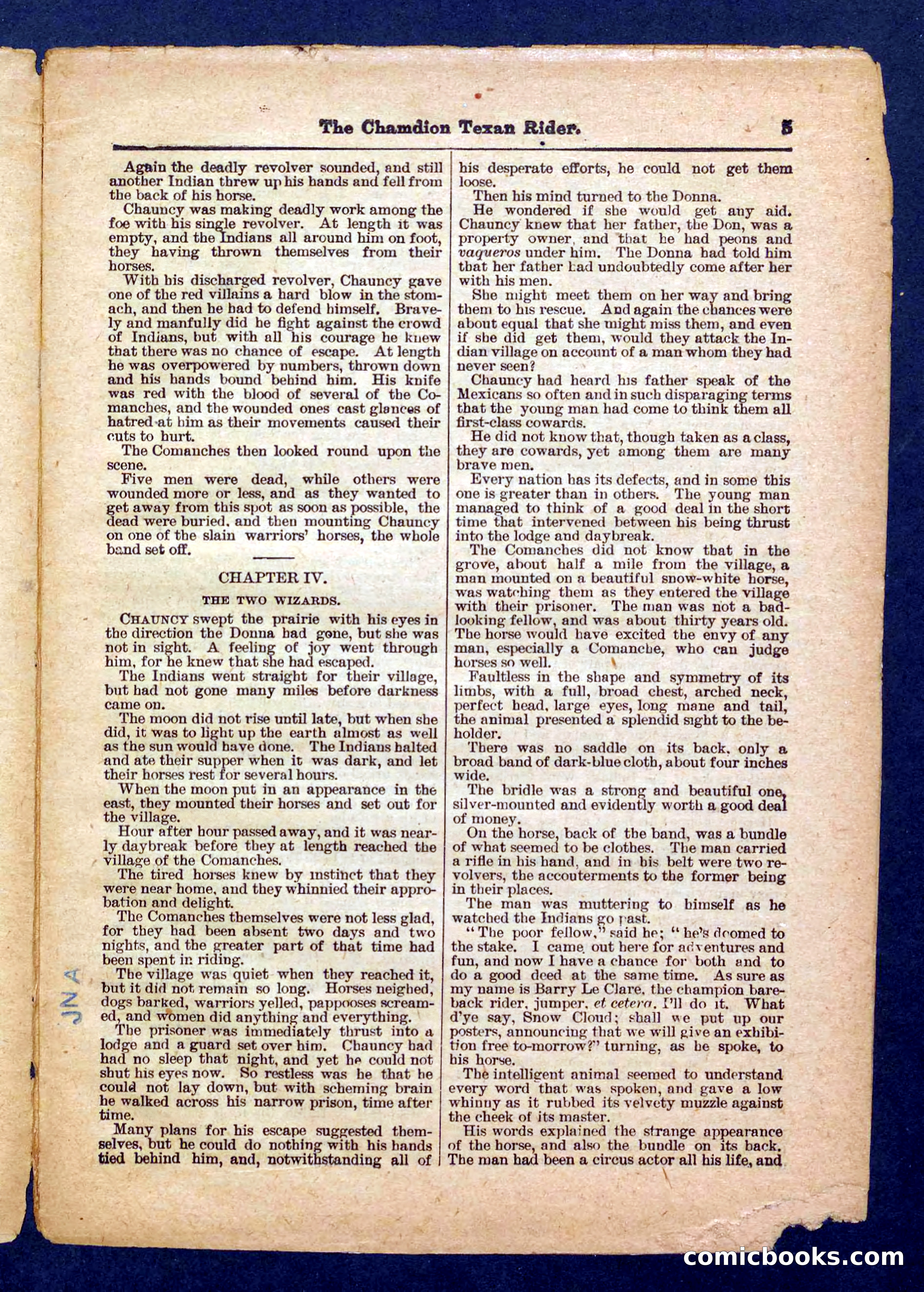Beadle's Pocket Library No. 458 — page 5 of 32