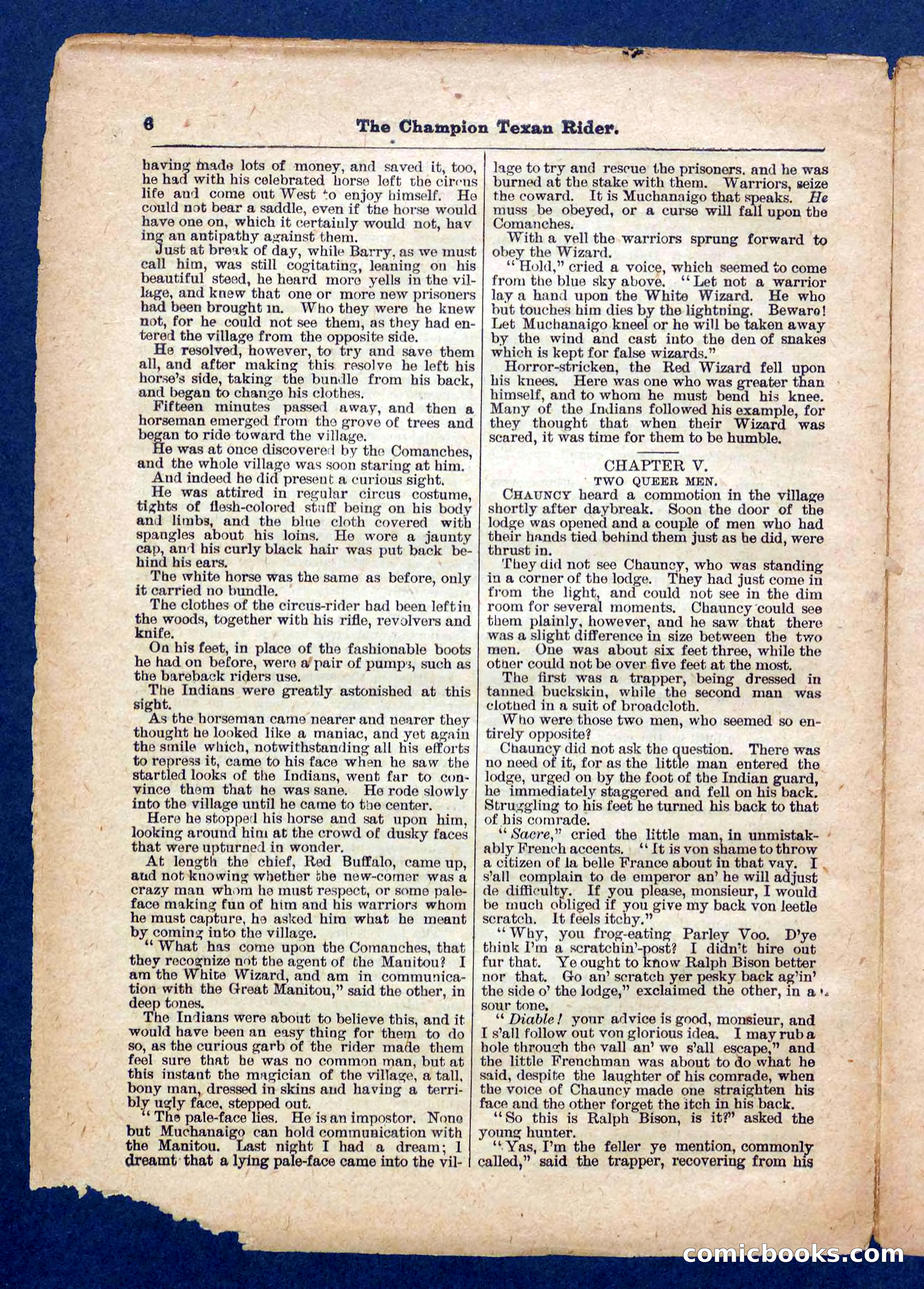 Beadle's Pocket Library No. 458 — page 6 of 32
