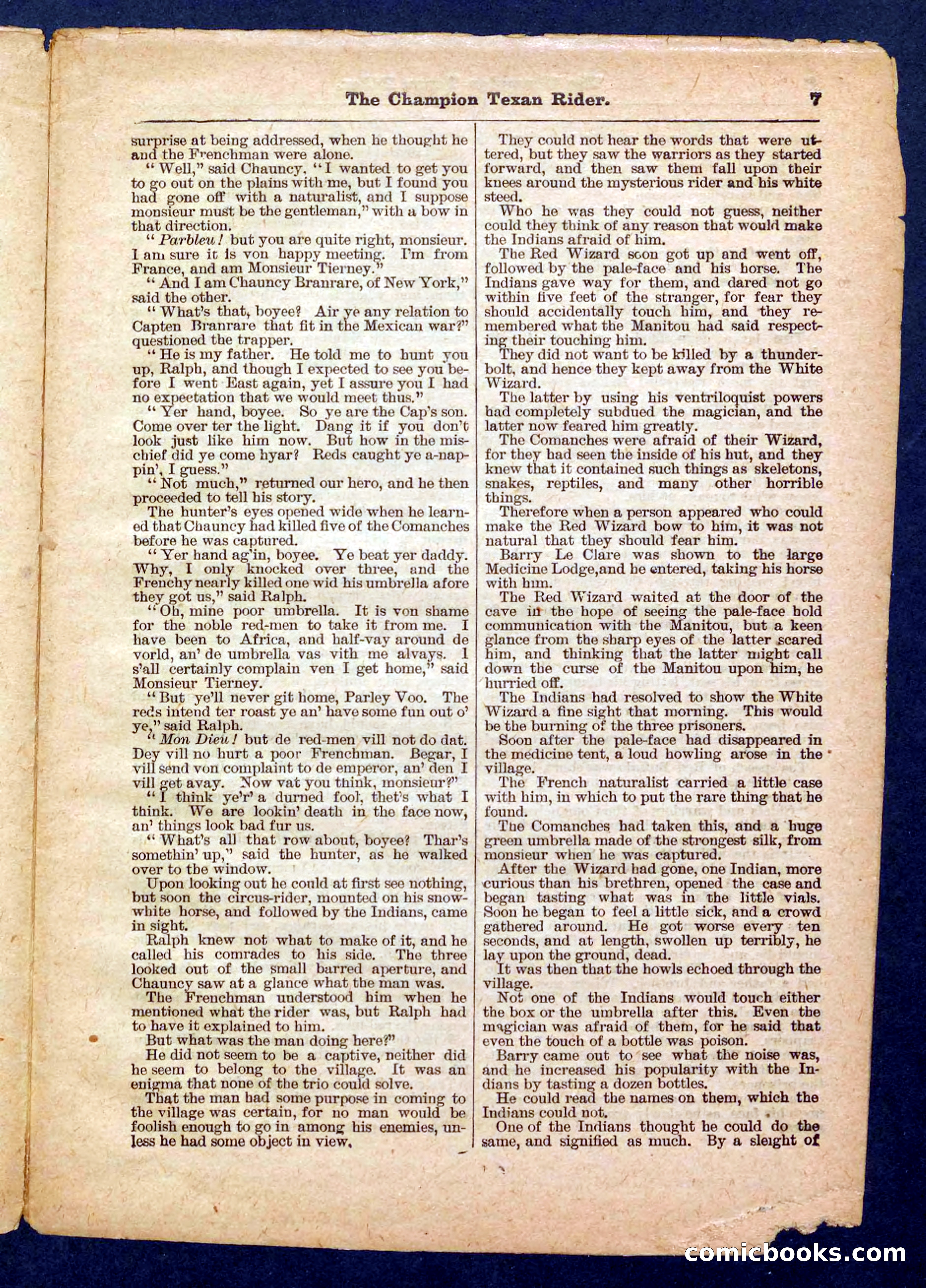 Beadle's Pocket Library No. 458 — page 7 of 32