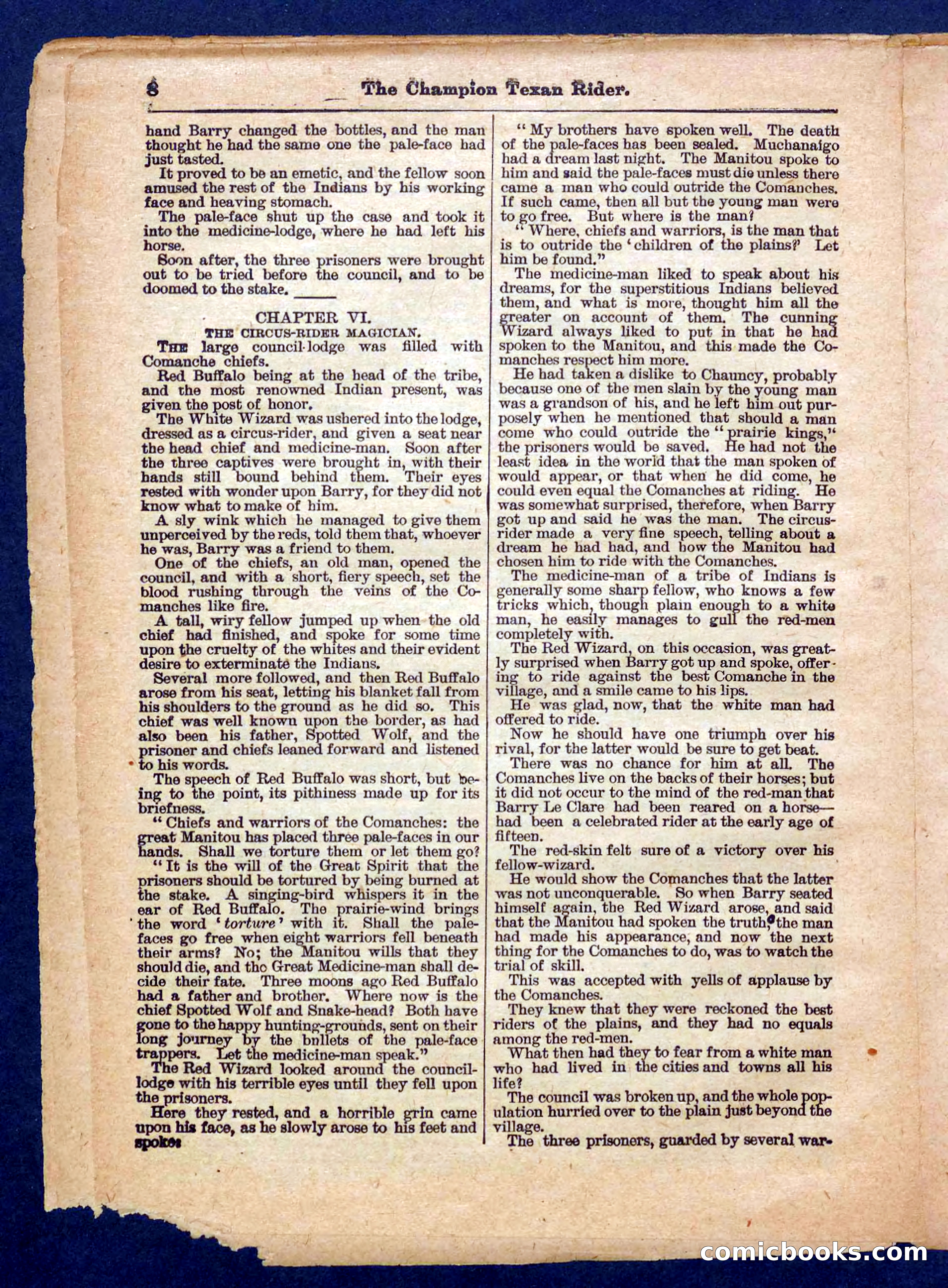 Beadle's Pocket Library No. 458 — page 8 of 32
