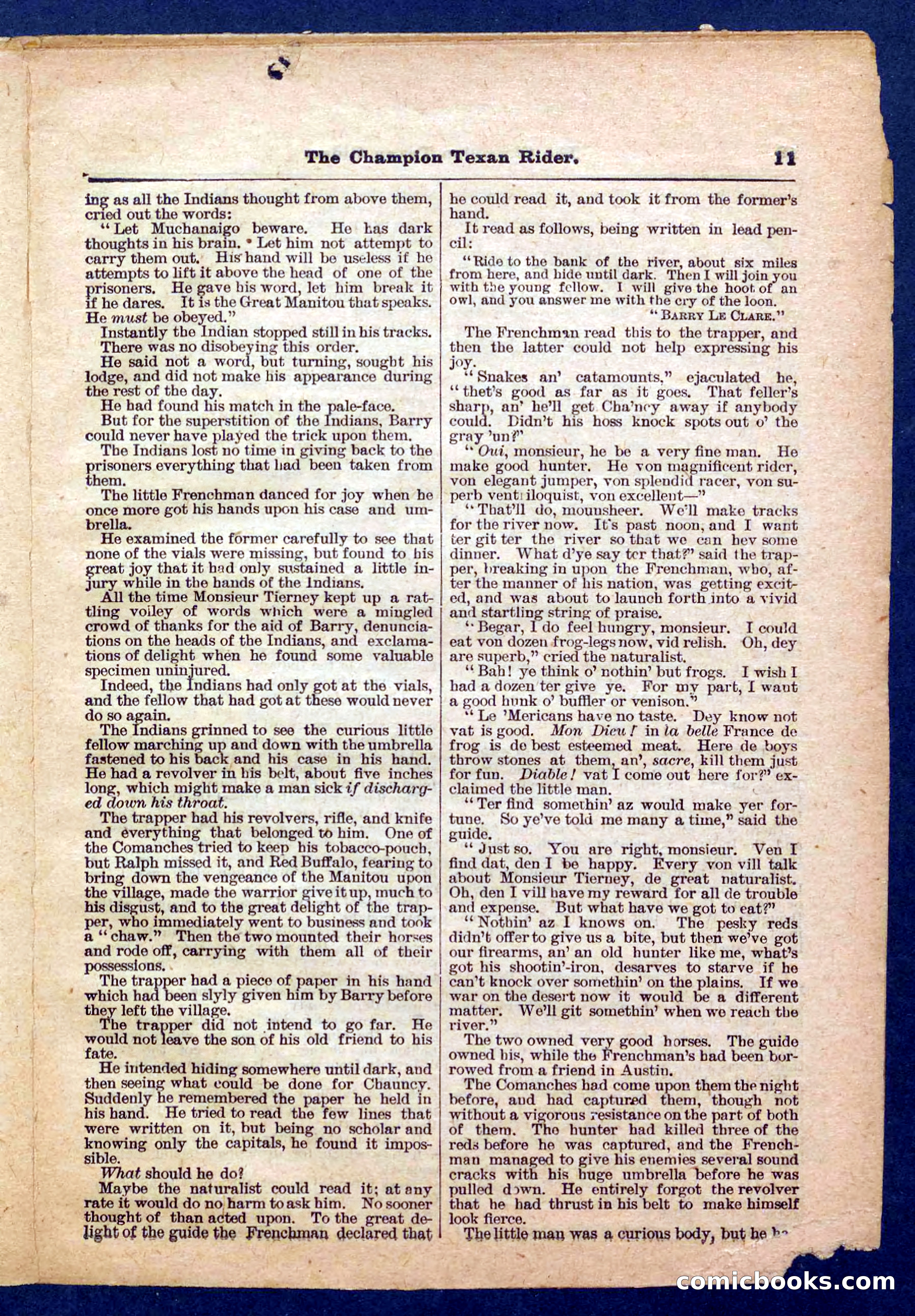 Beadle's Pocket Library No. 458 — page 11 of 32