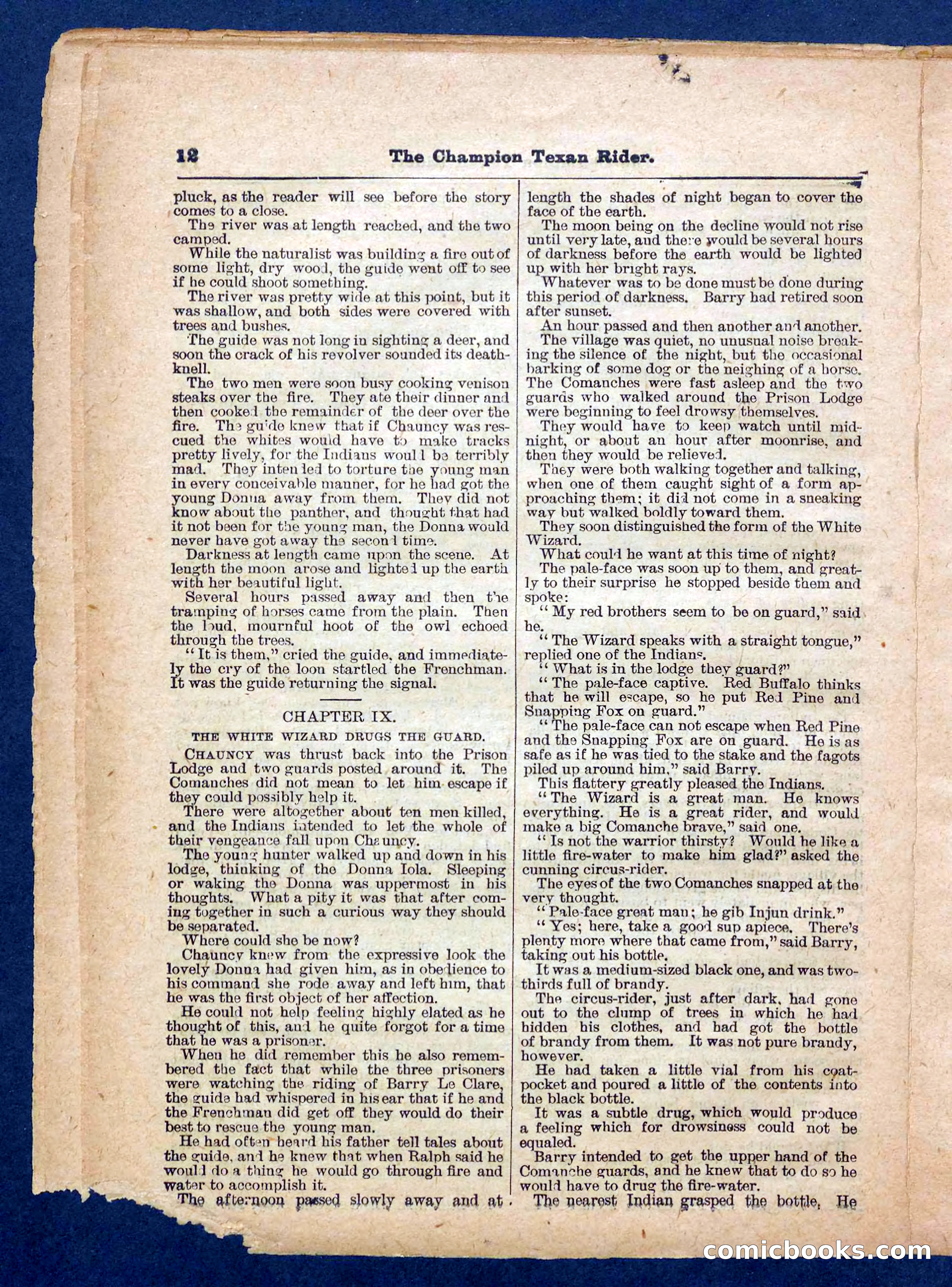 Beadle's Pocket Library No. 458 — page 12 of 32