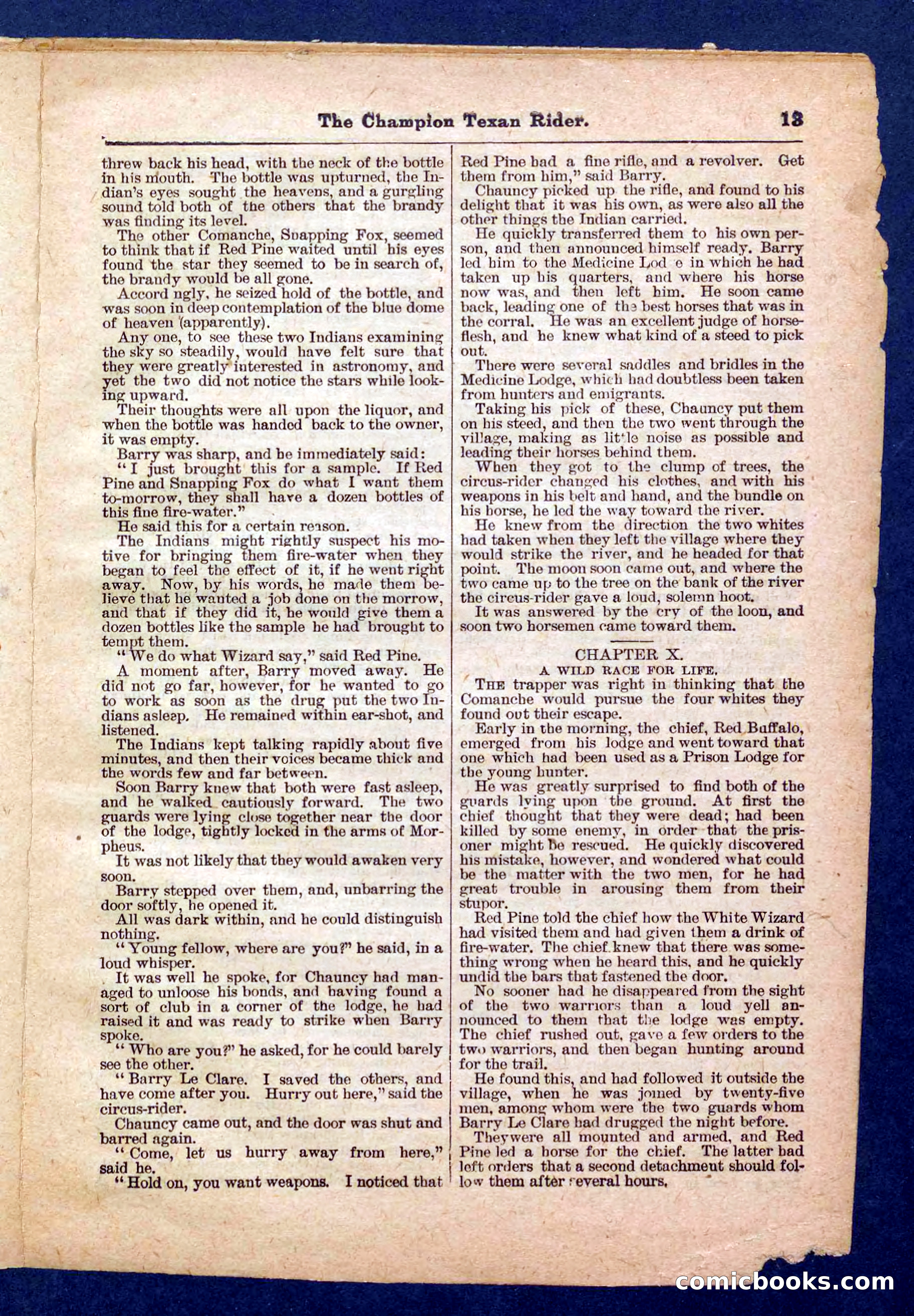 Beadle's Pocket Library No. 458 — page 13 of 32