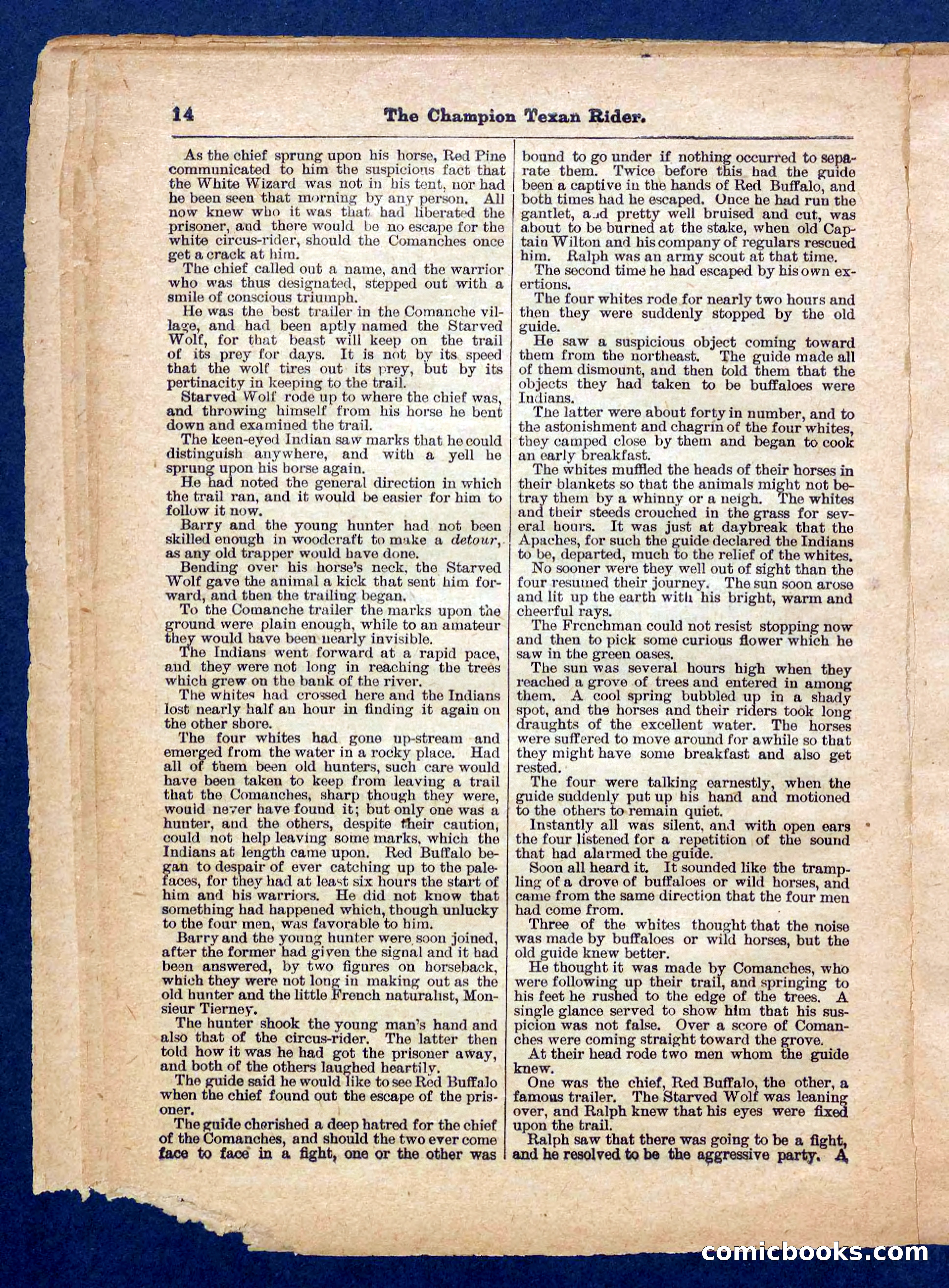 Beadle's Pocket Library No. 458 — page 14 of 32