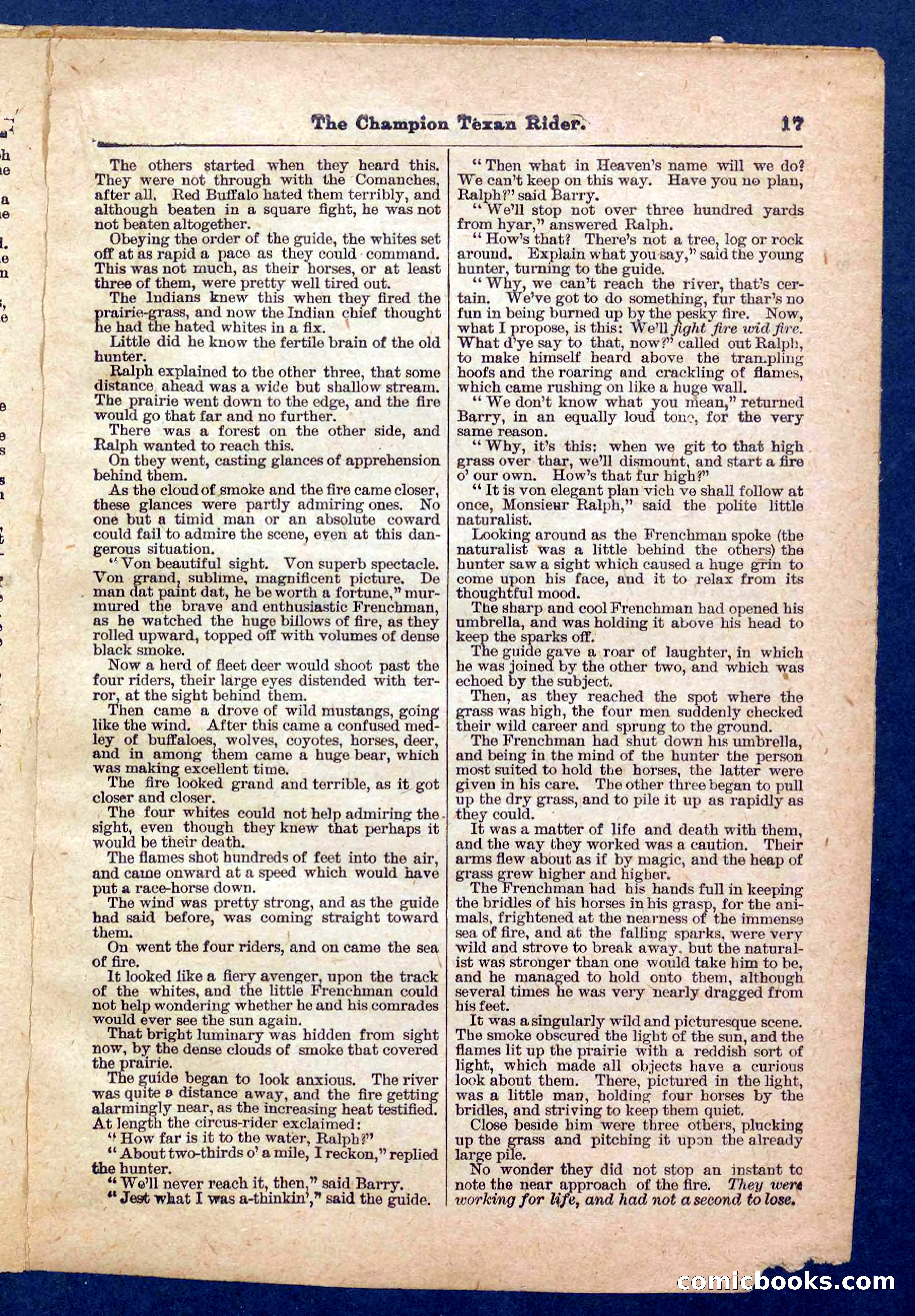 Beadle's Pocket Library No. 458 — page 17 of 32