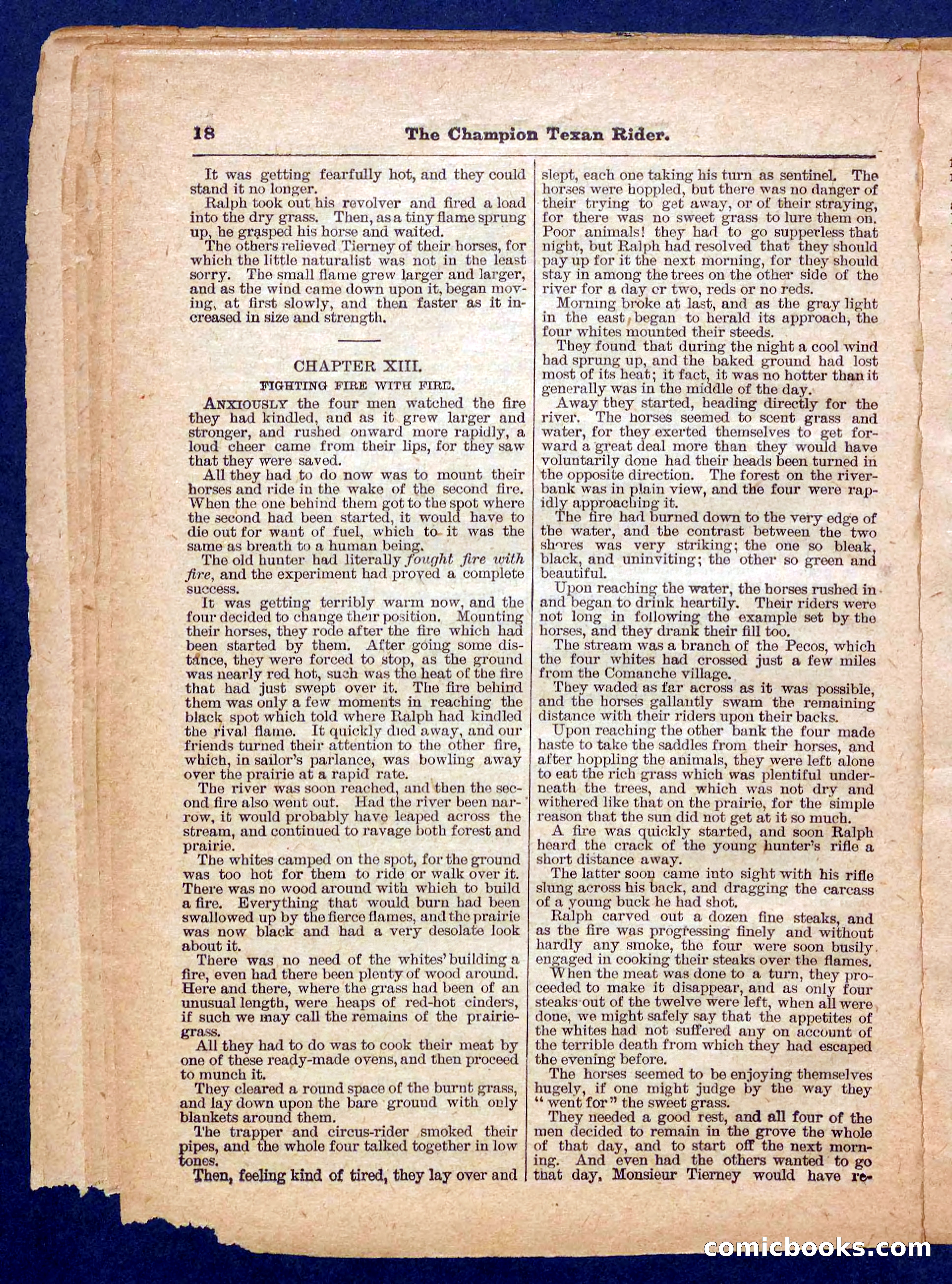 Beadle's Pocket Library No. 458 — page 18 of 32
