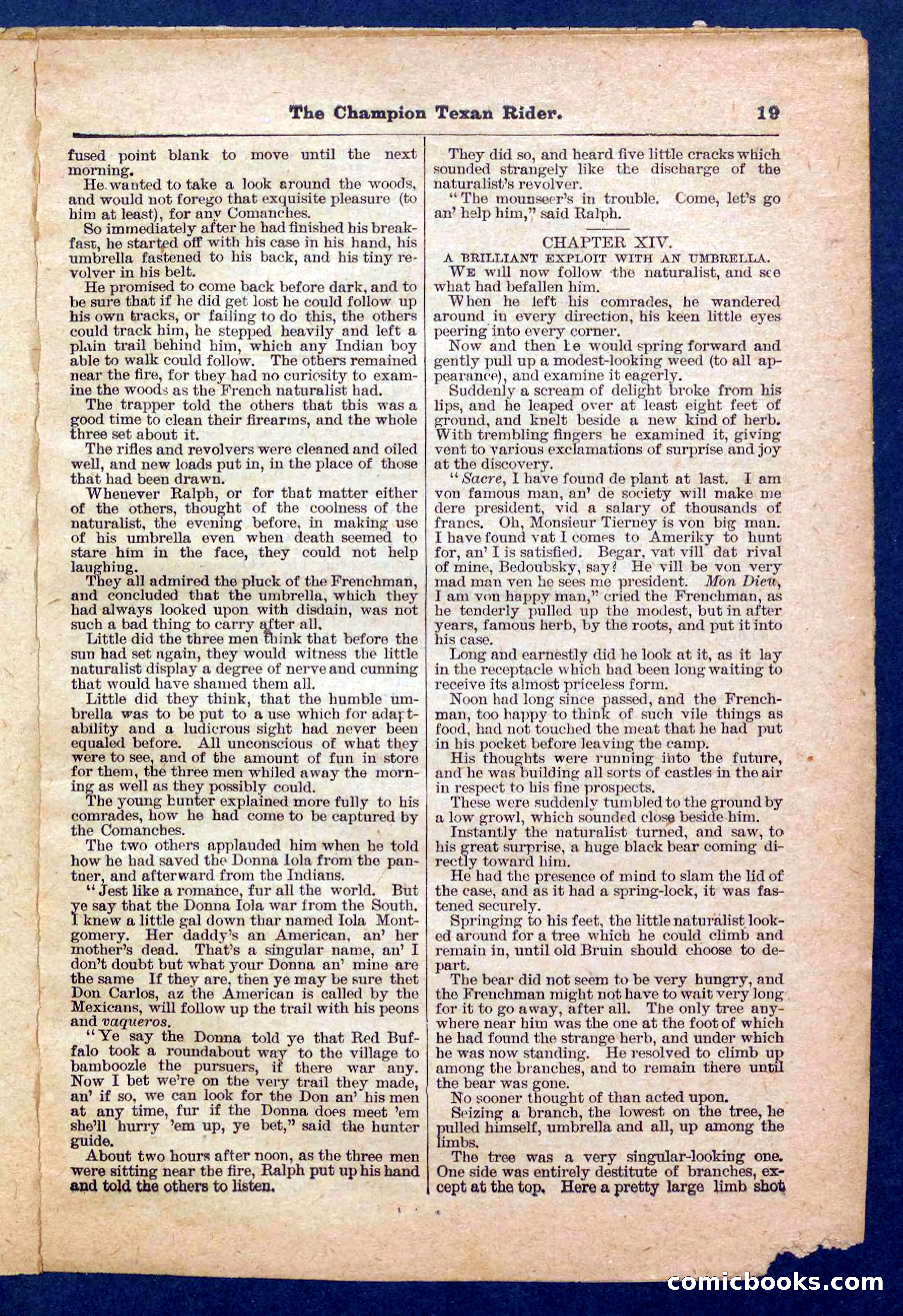 Beadle's Pocket Library No. 458 — page 19 of 32