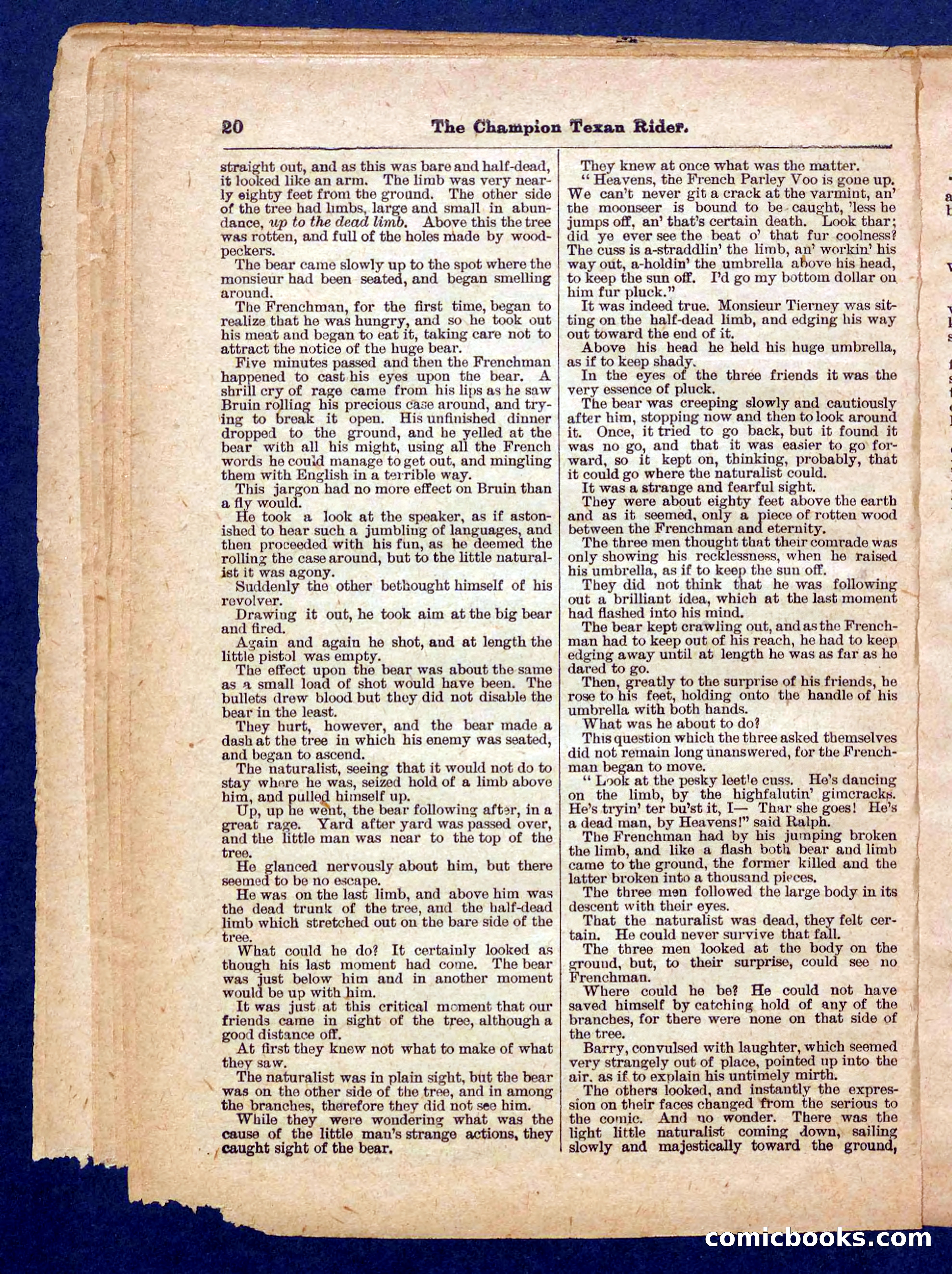 Beadle's Pocket Library No. 458 — page 20 of 32