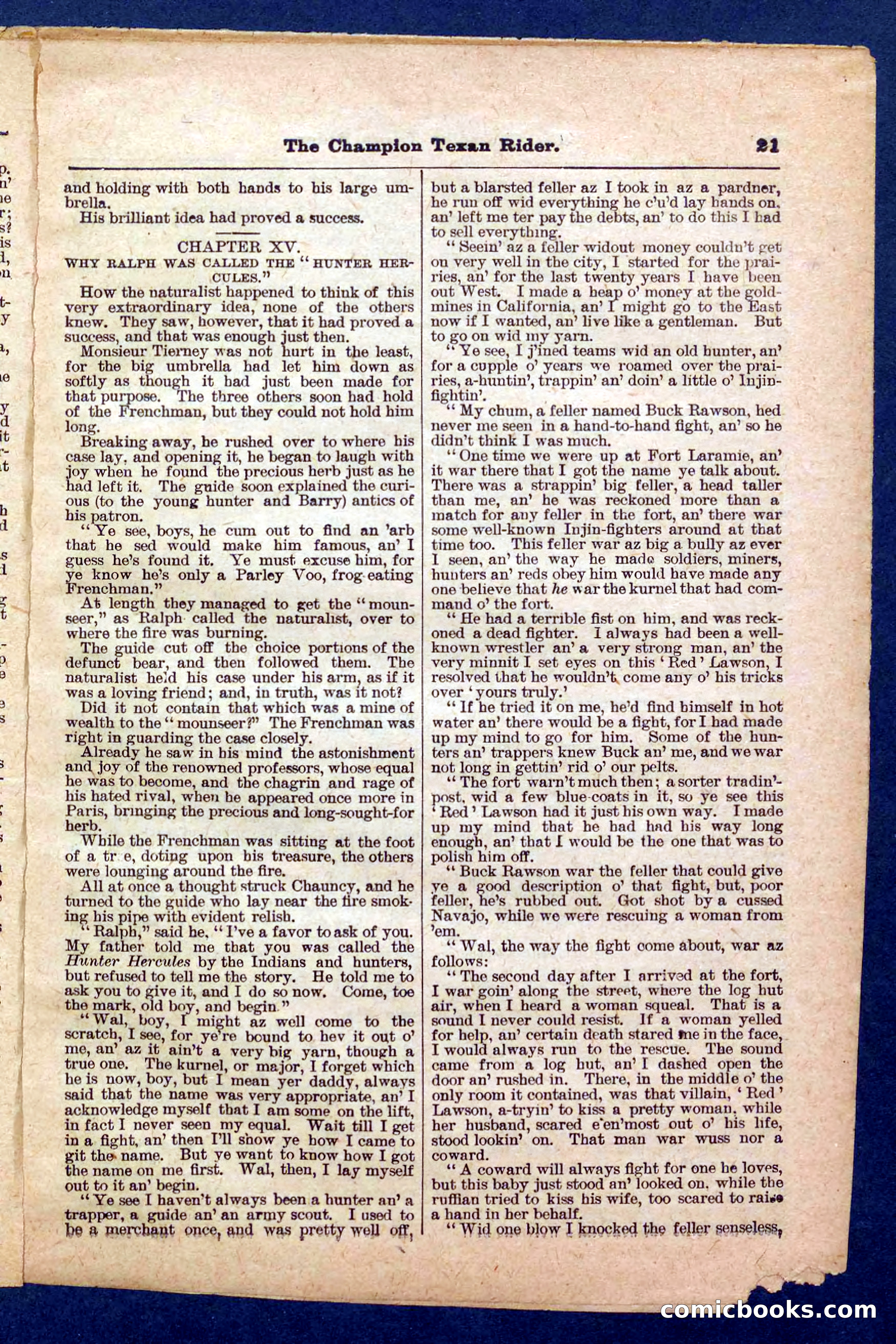 Beadle's Pocket Library No. 458 — page 21 of 32
