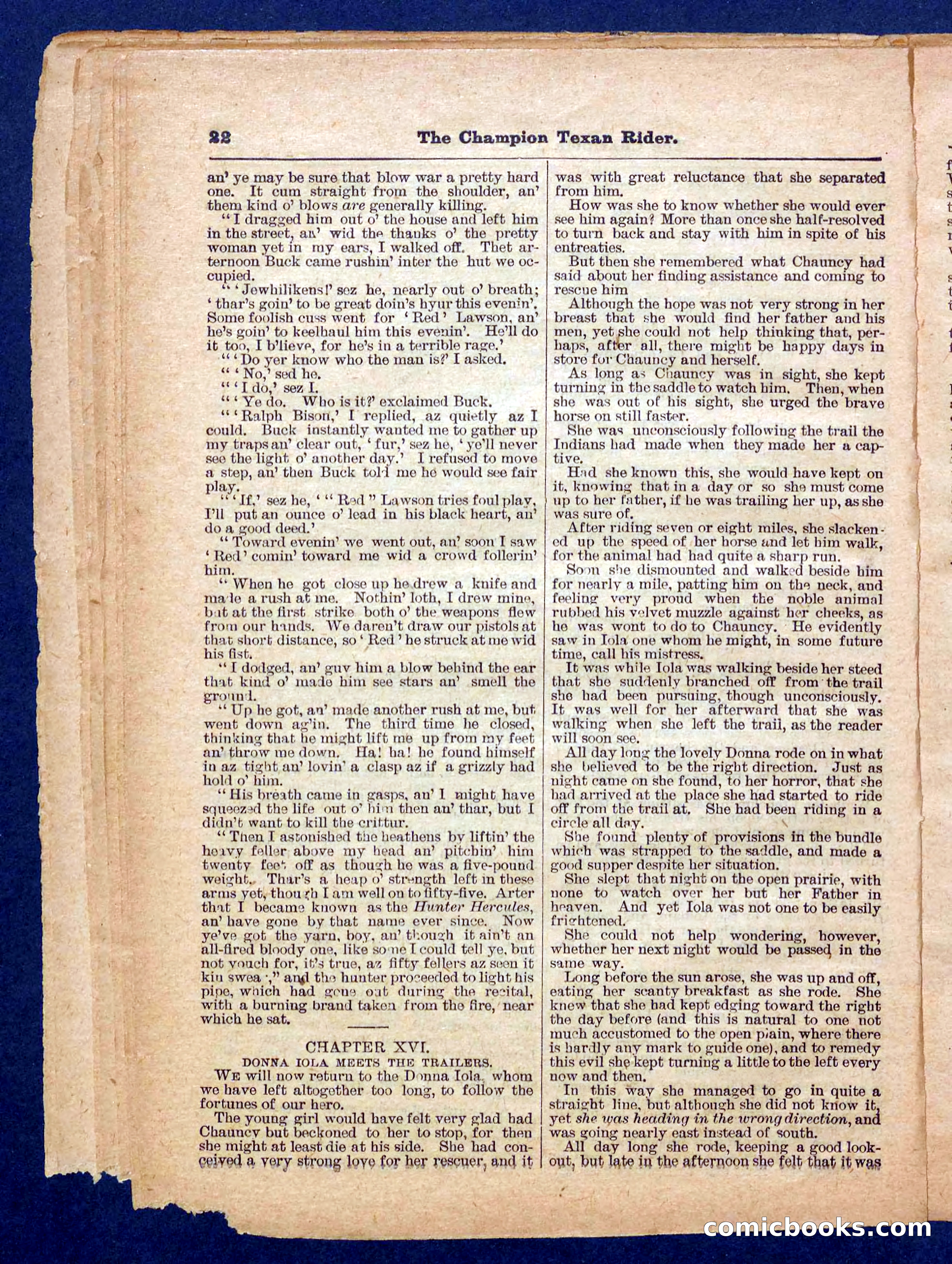 Beadle's Pocket Library No. 458 — page 22 of 32