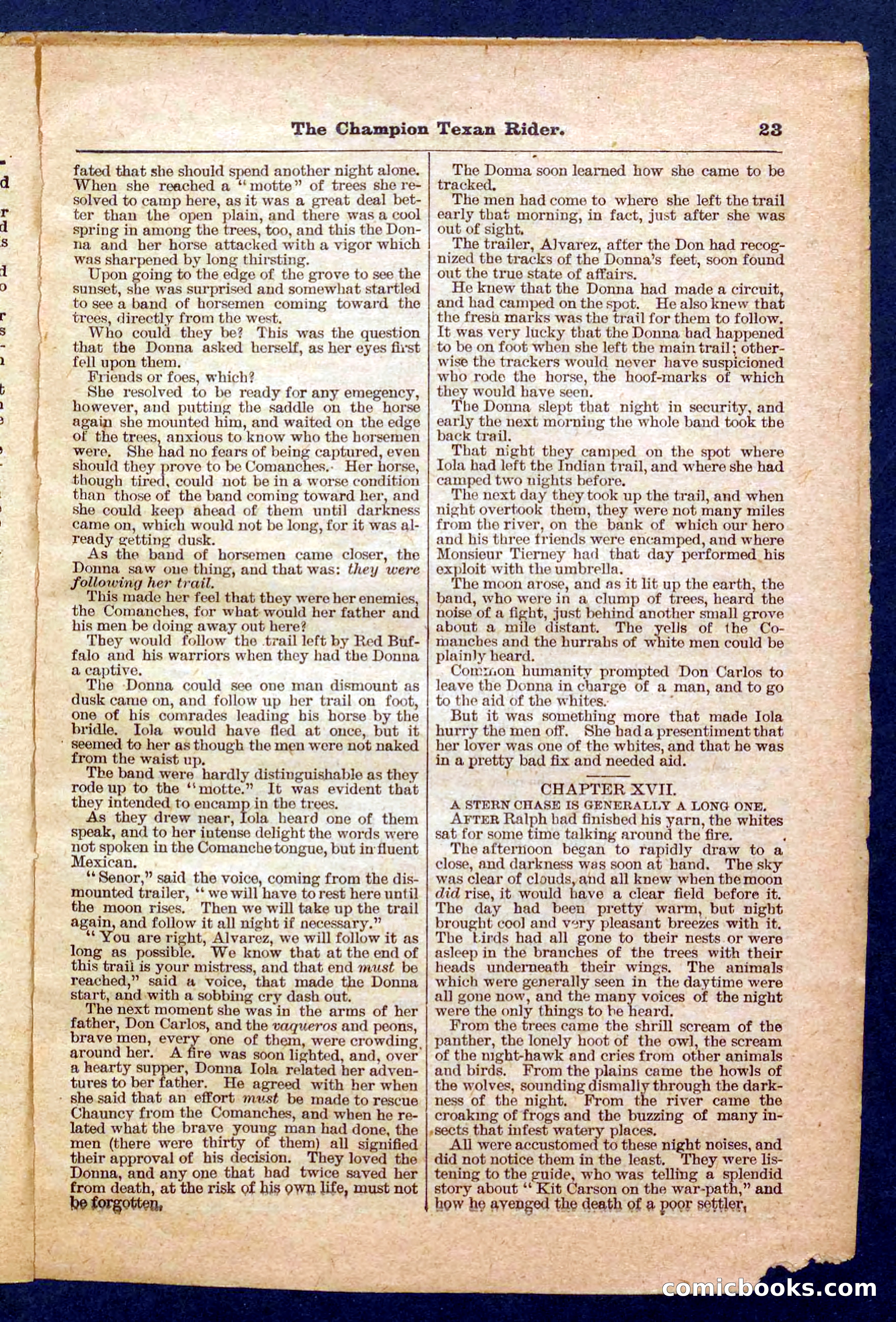 Beadle's Pocket Library No. 458 — page 23 of 32