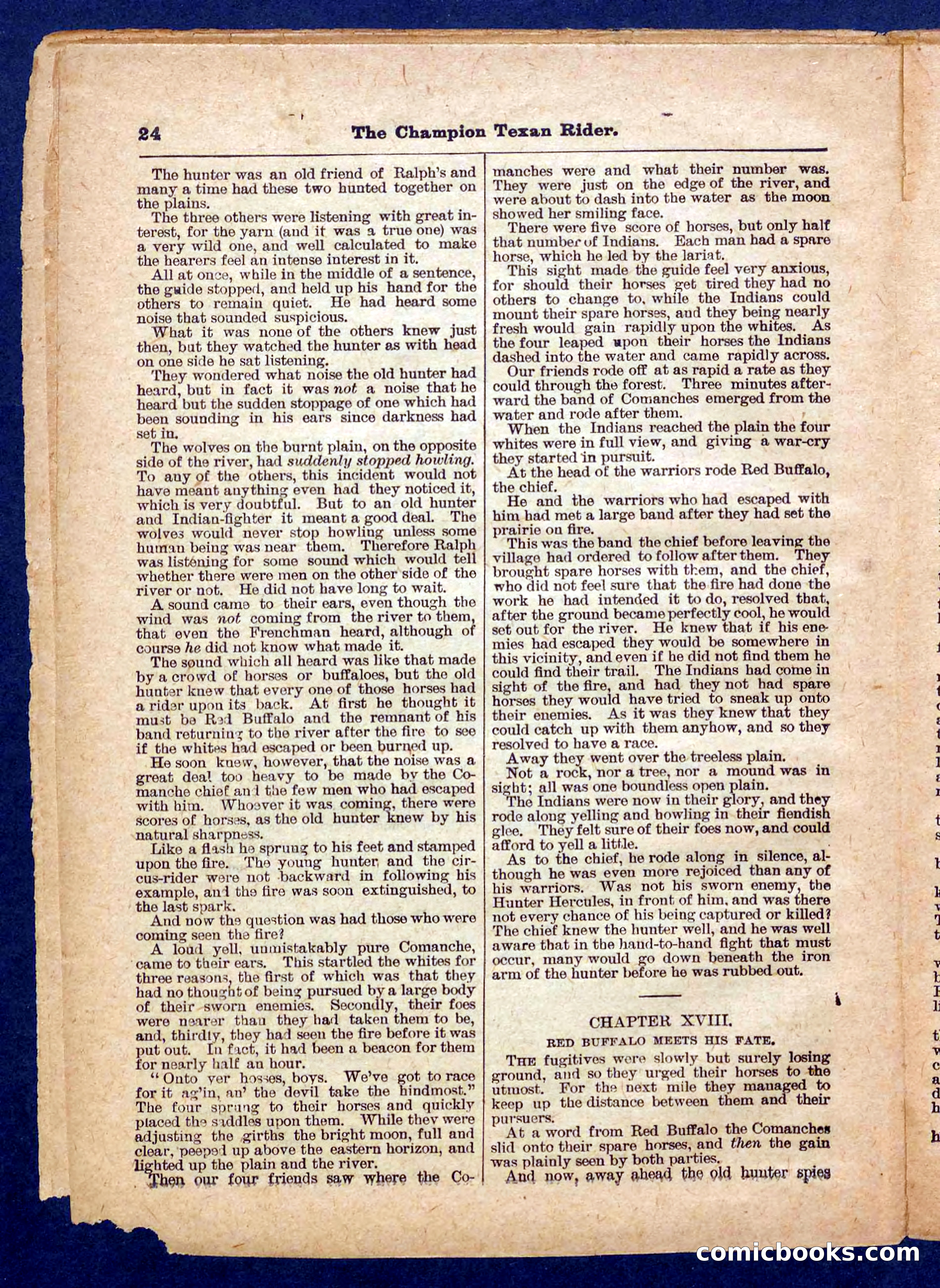 Beadle's Pocket Library No. 458 — page 24 of 32