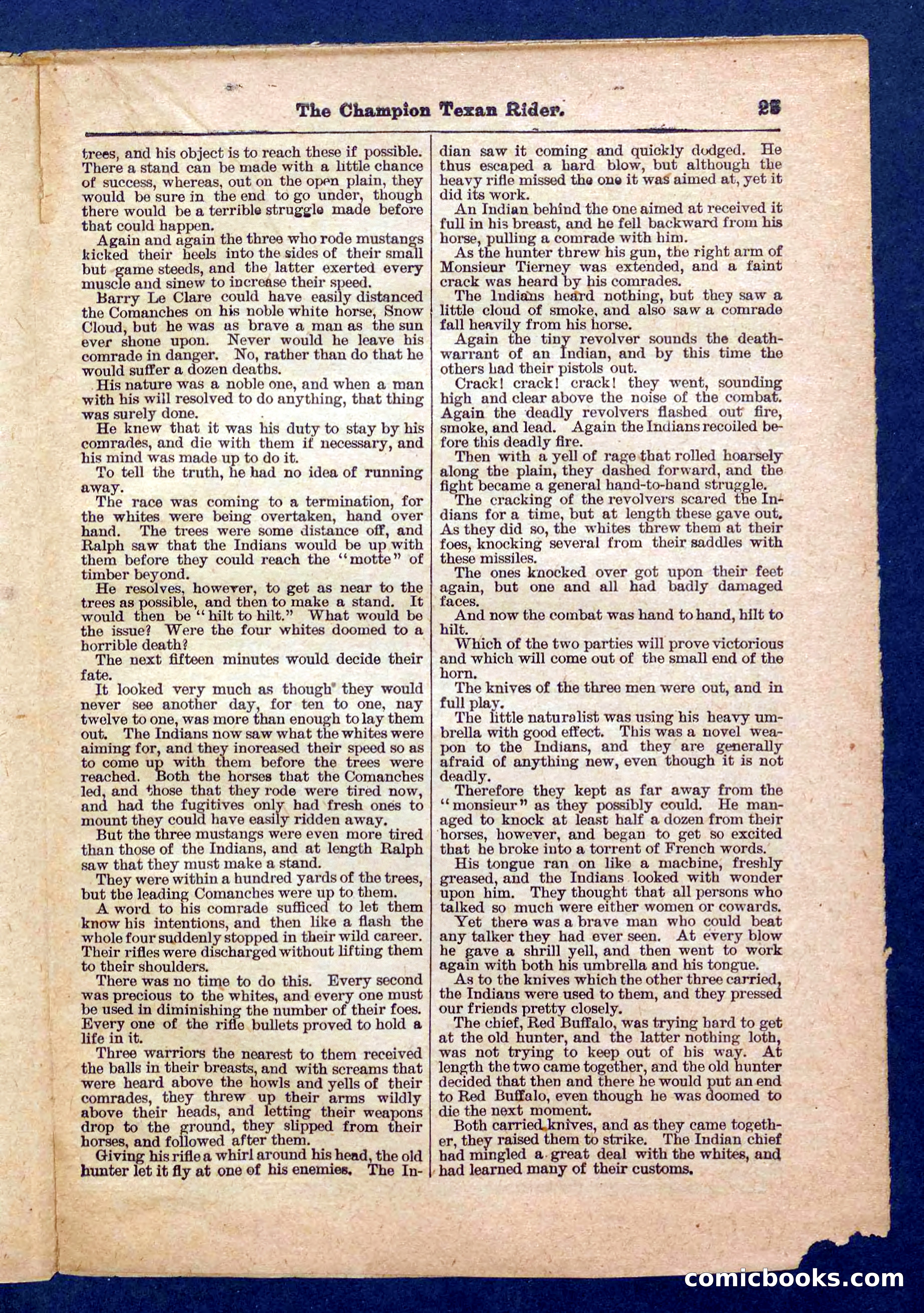 Beadle's Pocket Library No. 458 — page 25 of 32